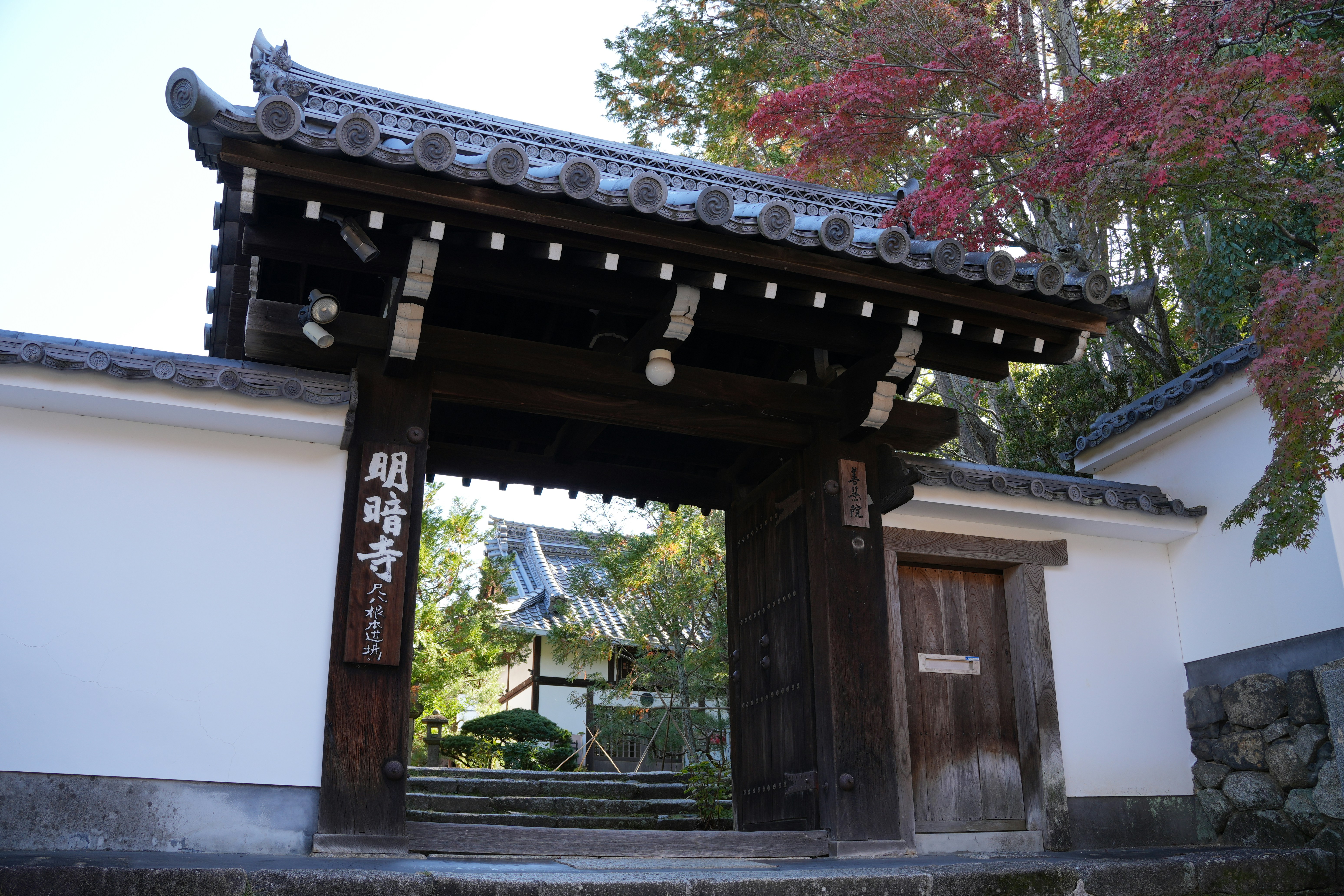 Photo by dm8ryphotos