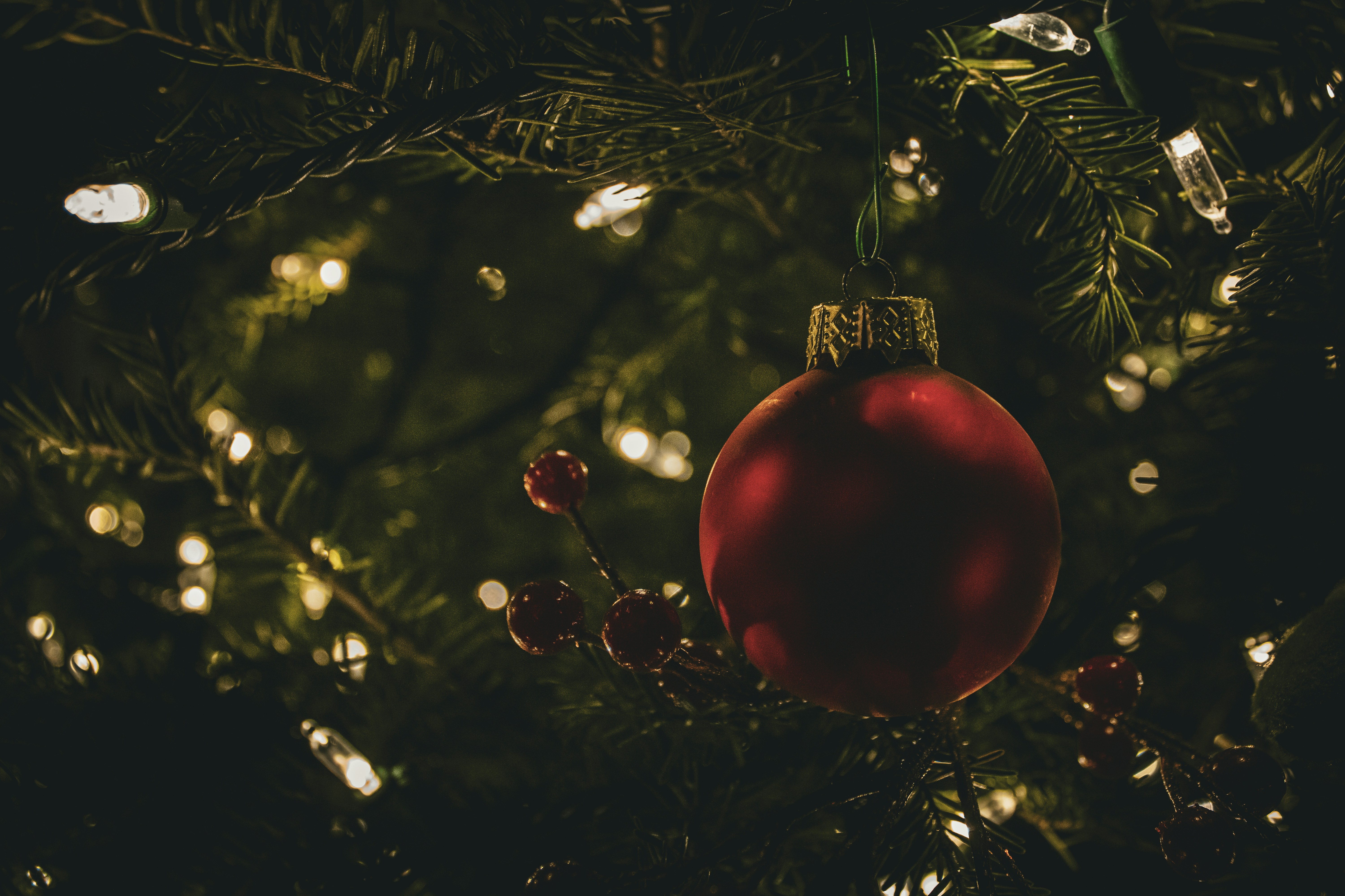 Photo by one23four56