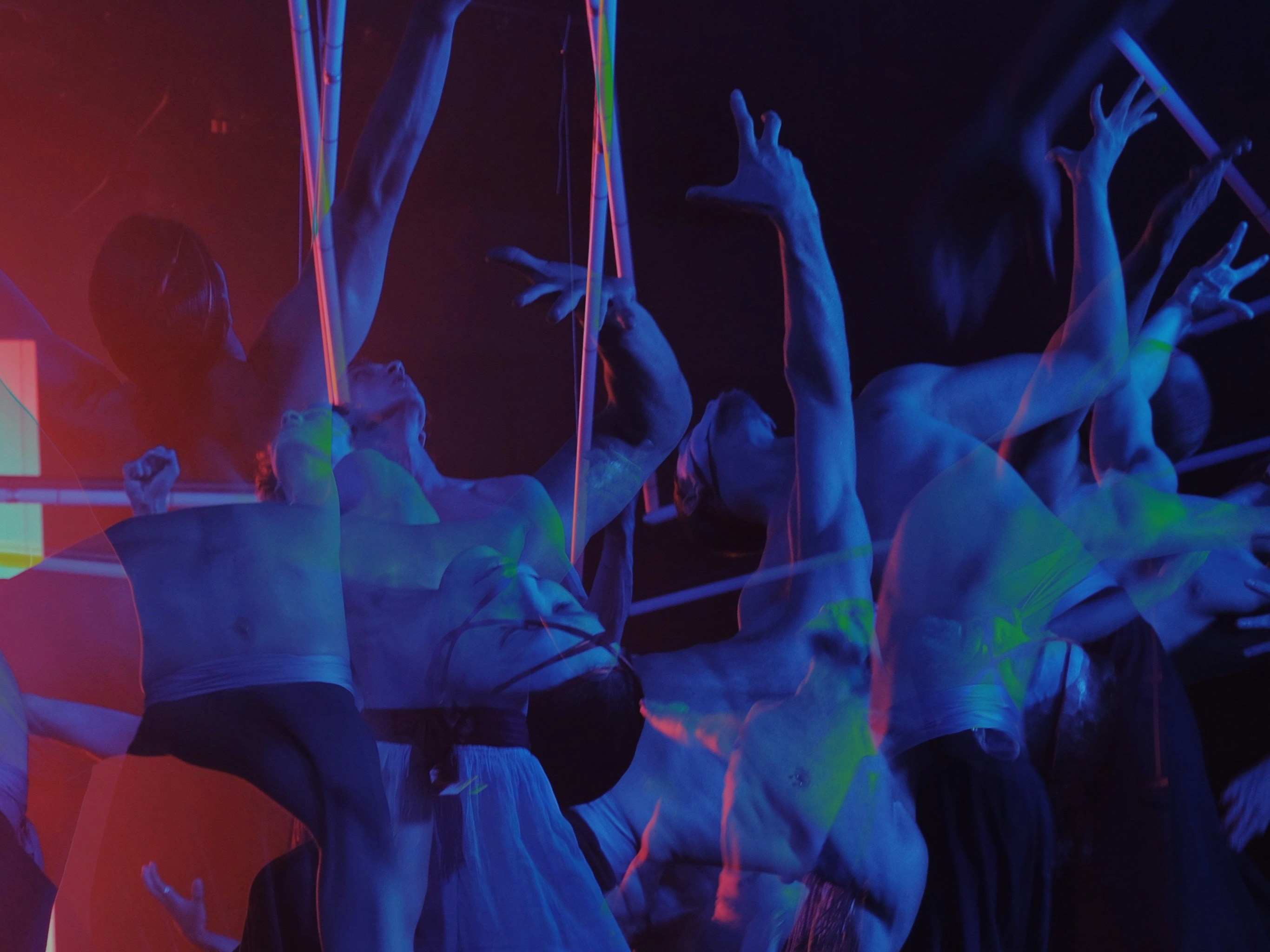 From Fighters to Fighters: Modestas Bukauskas’ Journey Through Adversity