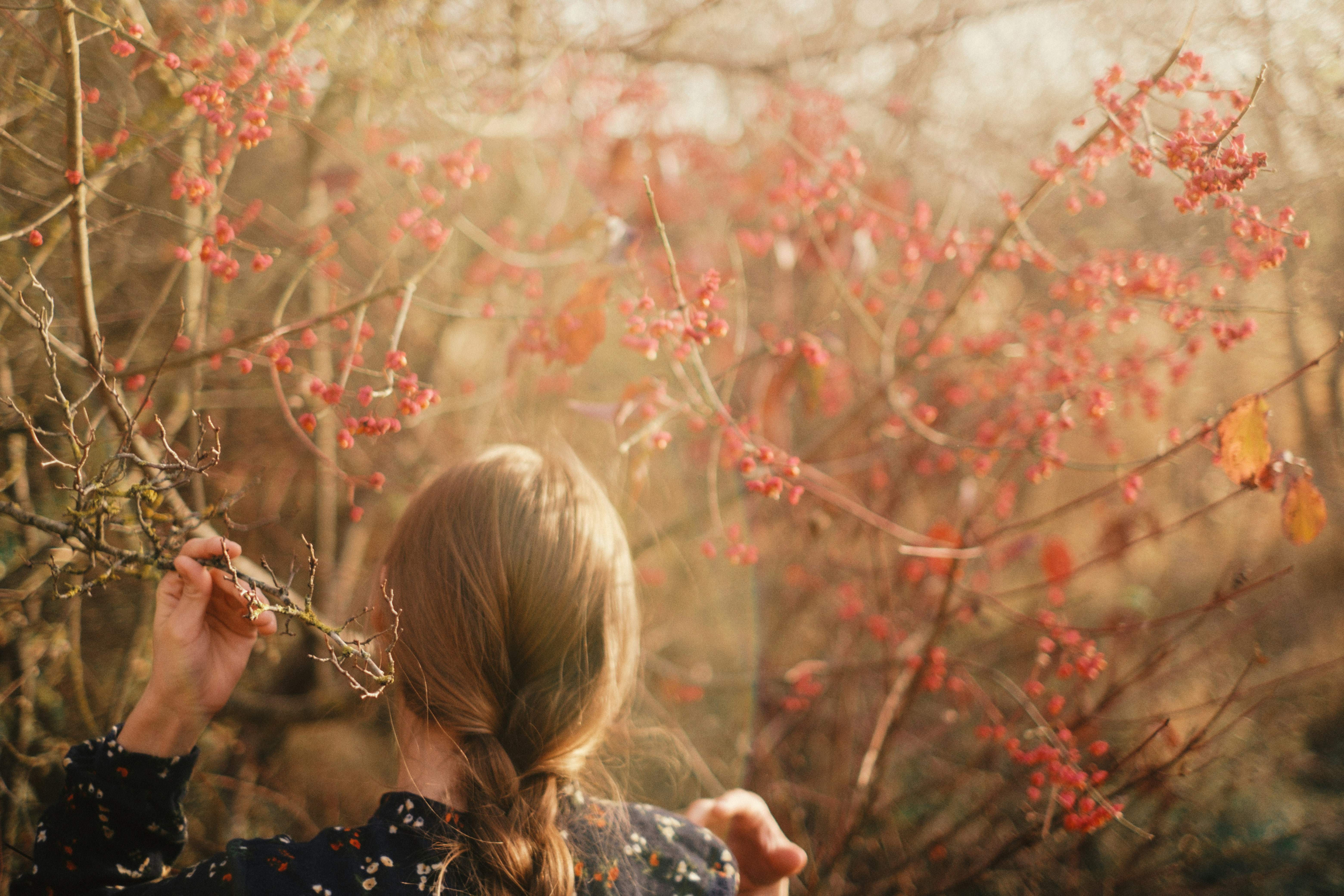 Photo by alinachernovol