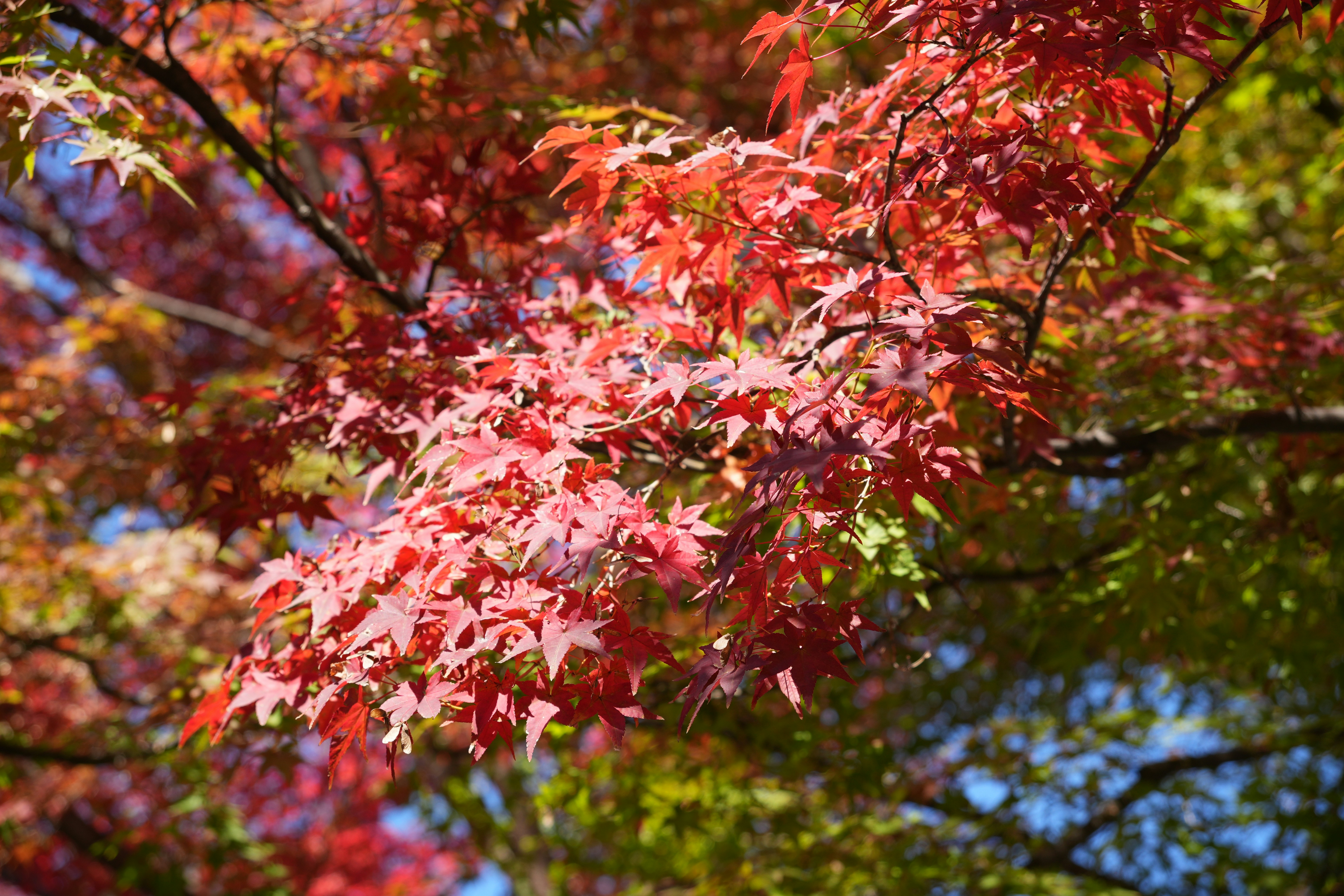 Photo by dm8ryphotos