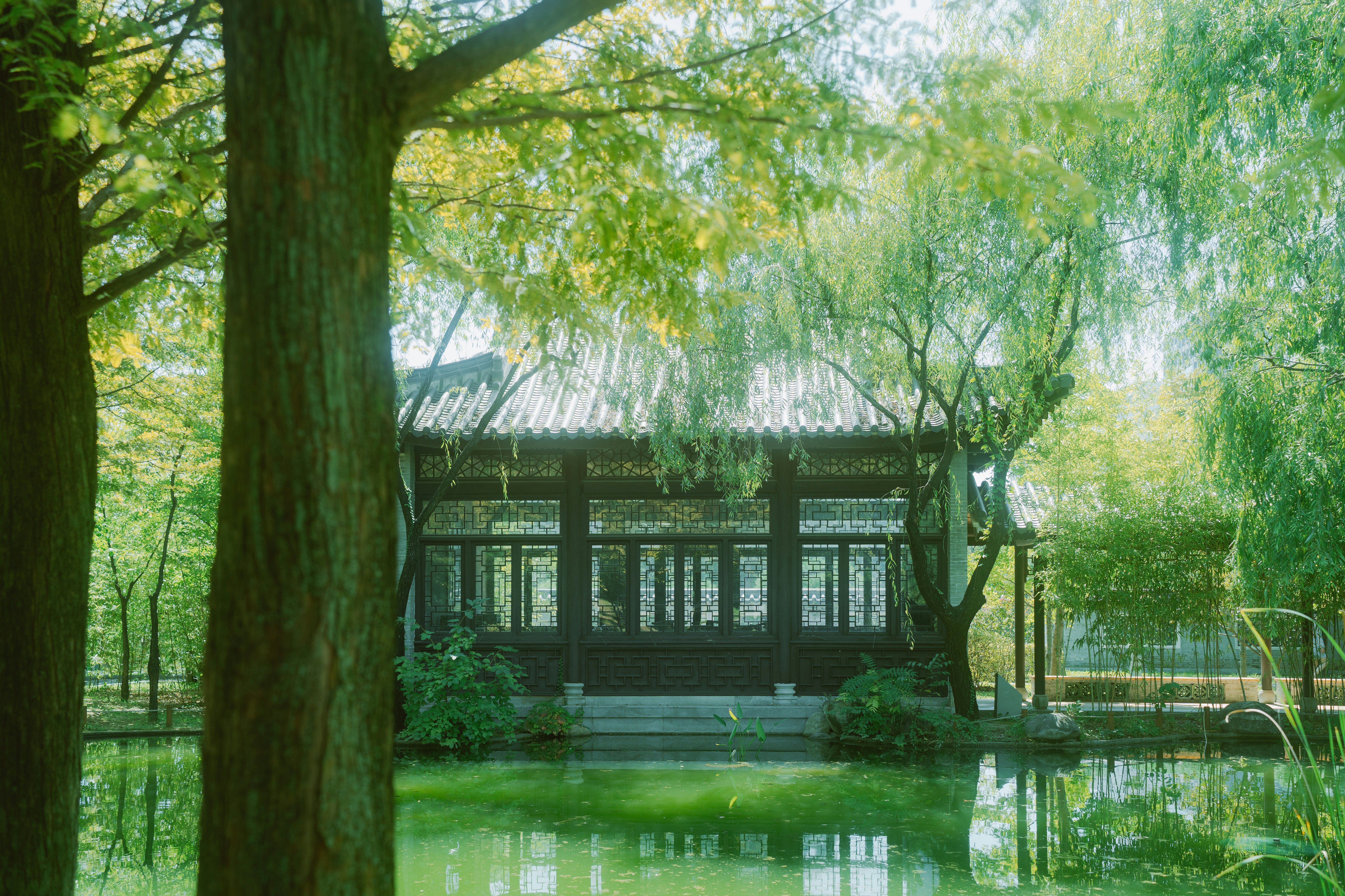 Building by a tranquil pond surrounded by trees