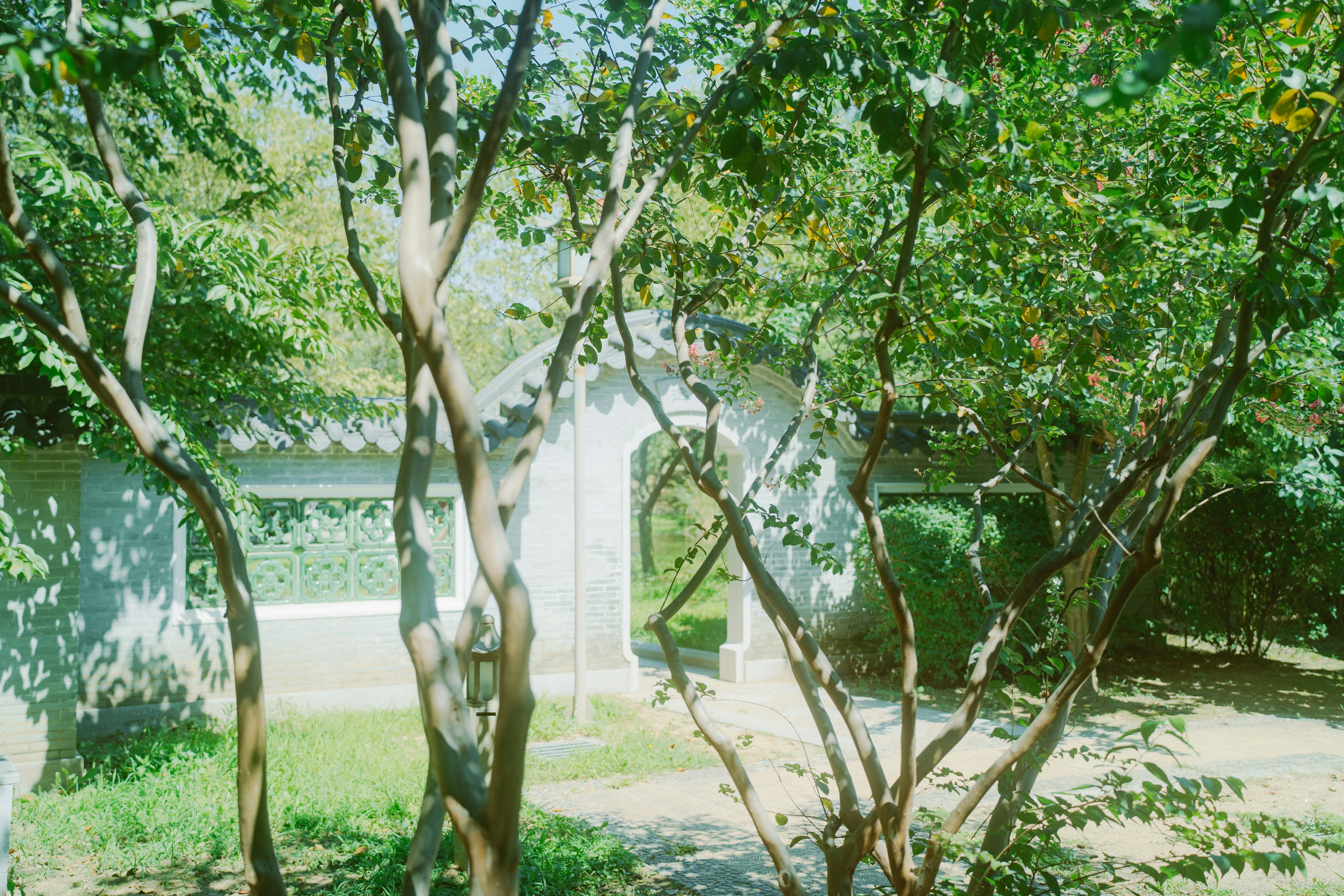 Entrada tradicional japonesa rodeada de árboles. foto – Imagen de Árboles  gratuita en Unsplash, image size:3000x2000