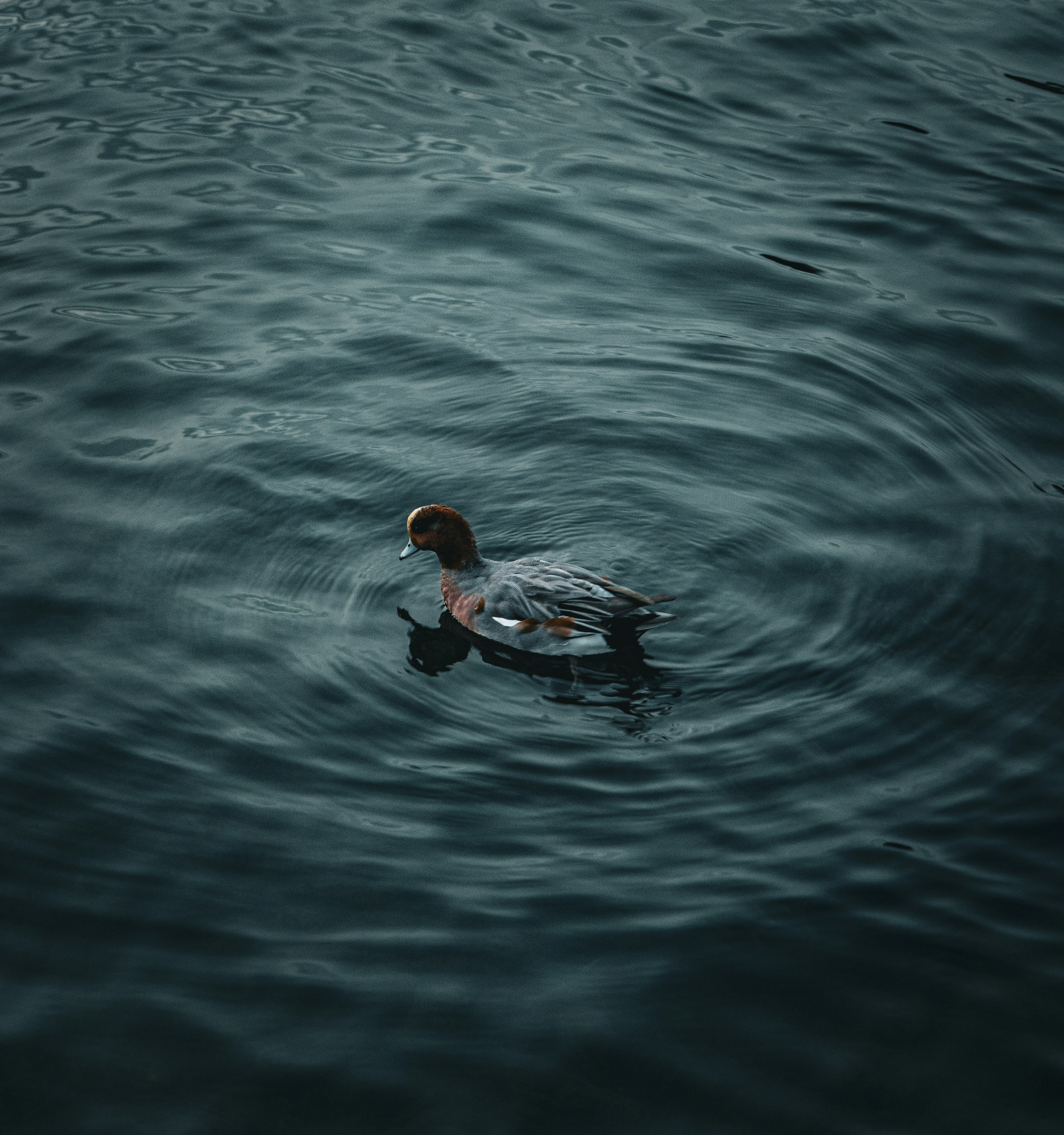 Photo by momentsbyprats