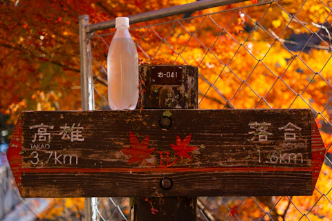 Wooden signpost with autumn leaves and bottle