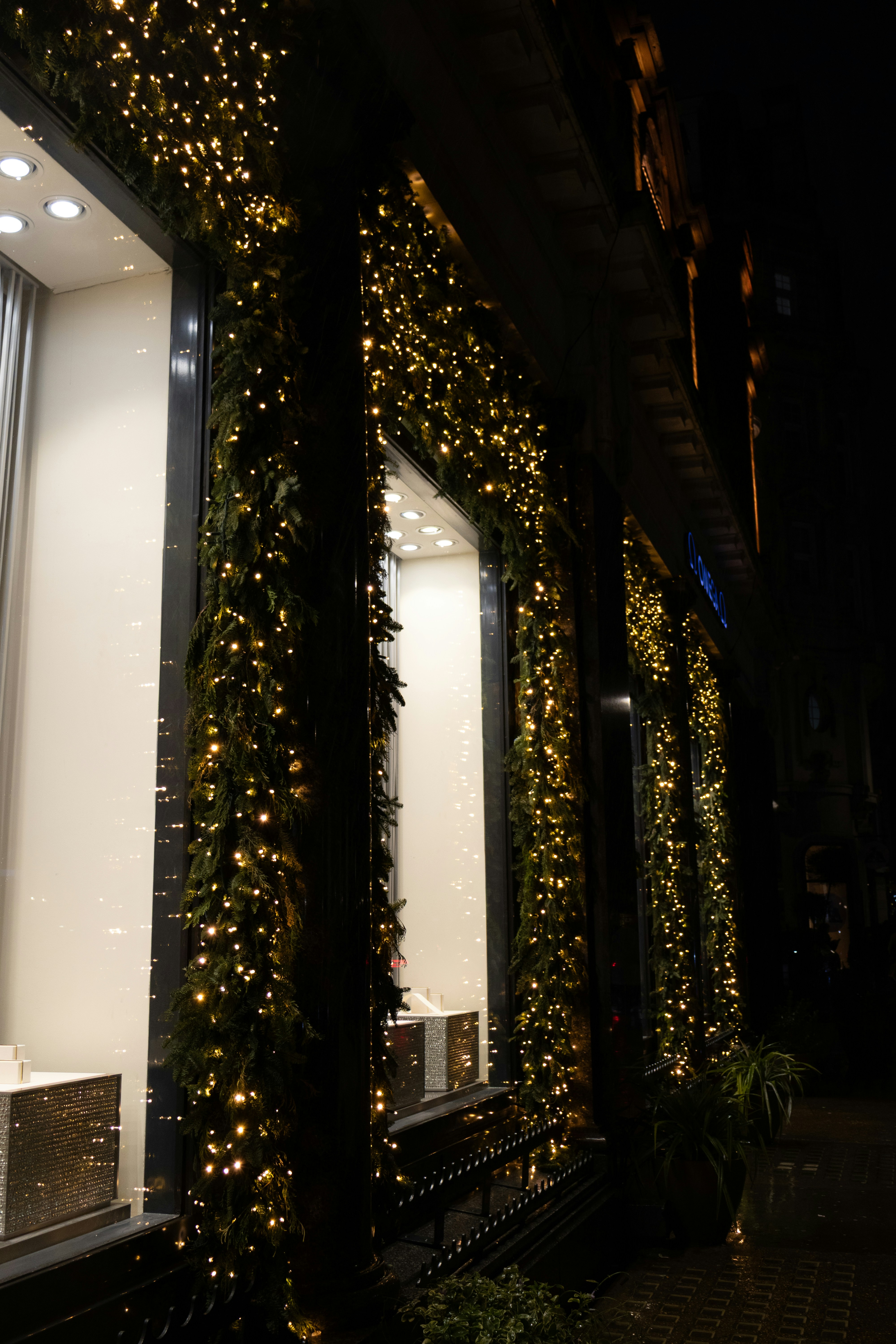 Photo by tanyabarrow