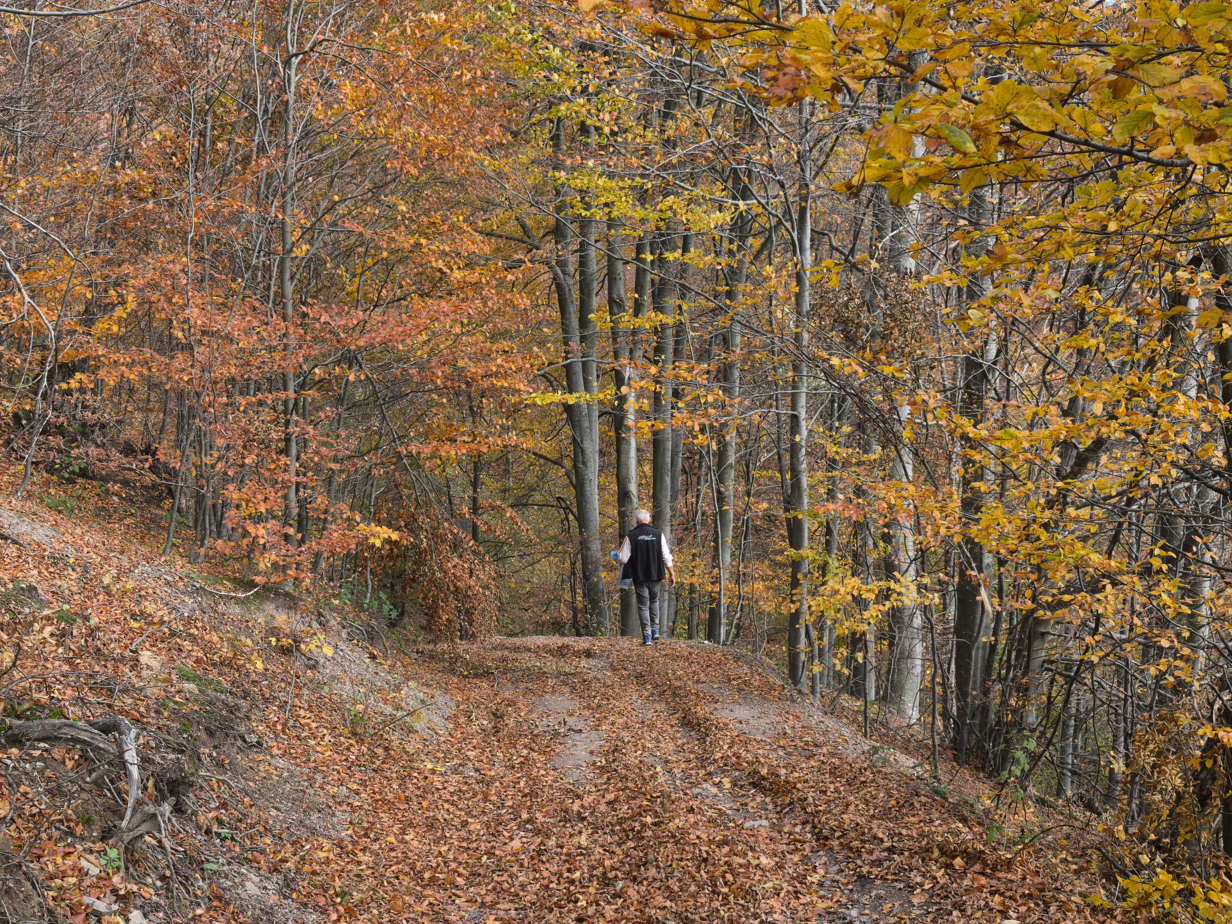 Photo by ljned_1961_