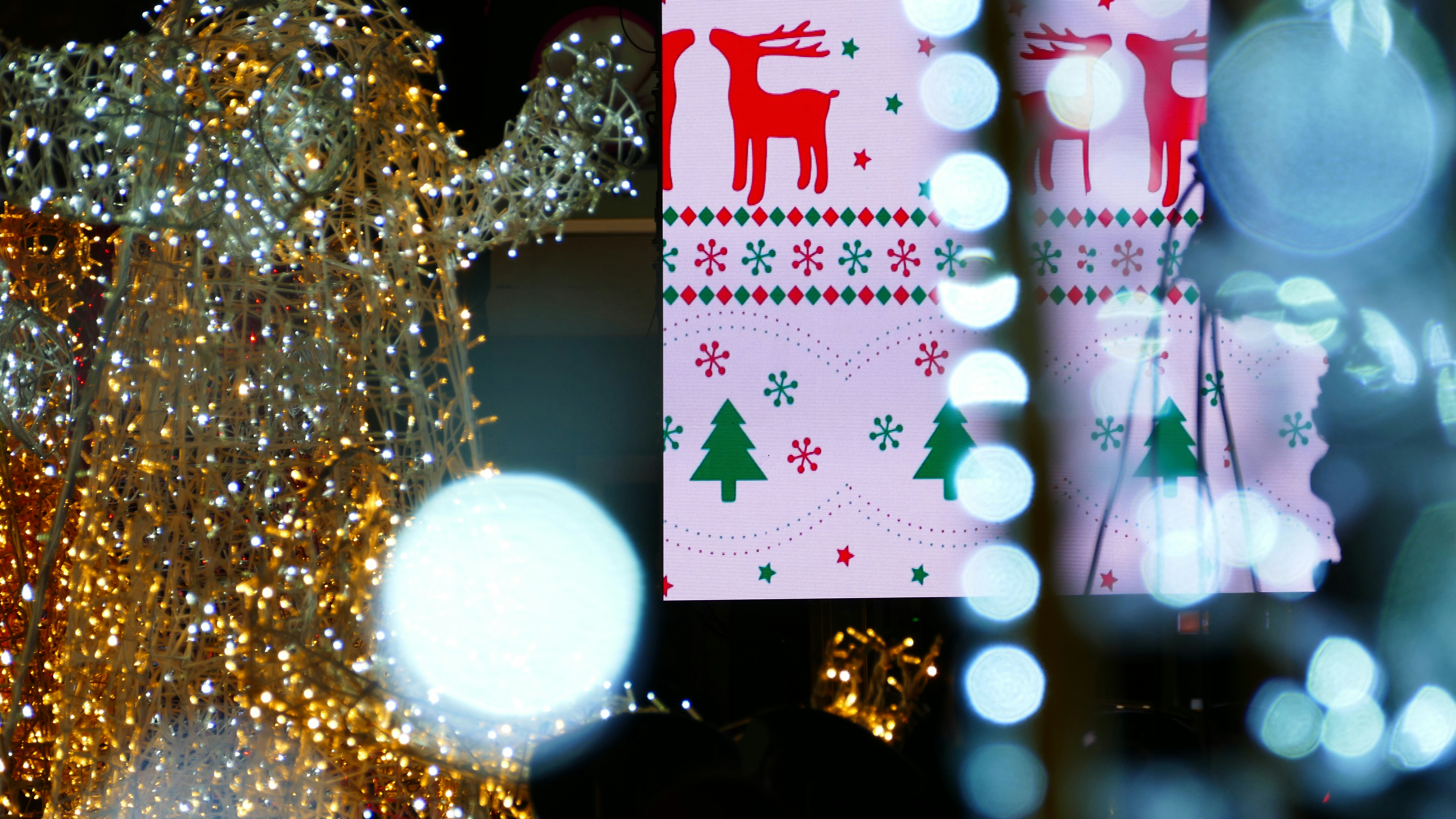 トナカイとトナカイの飾り付けとクリスマスライト