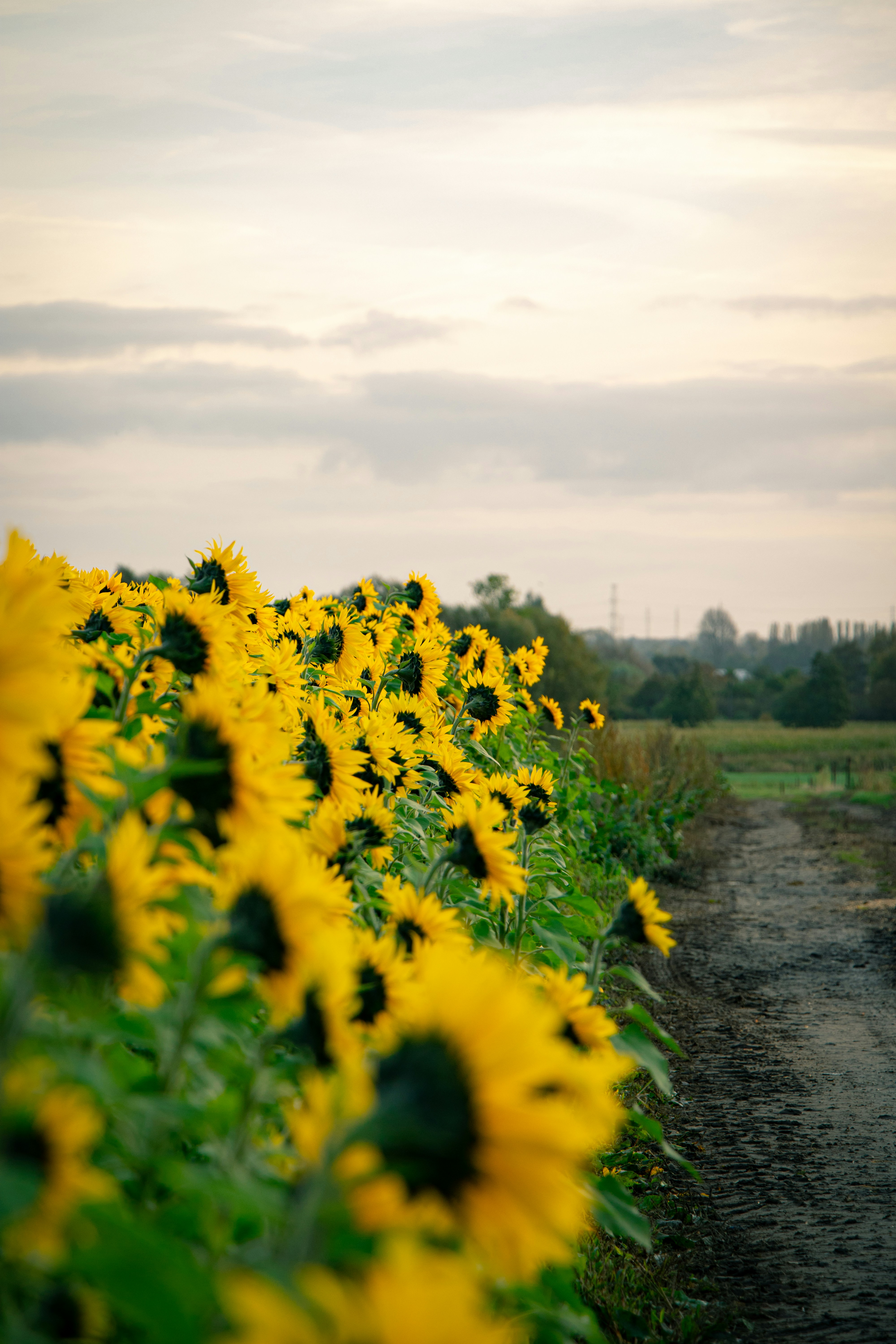 Photo by daanverhoost