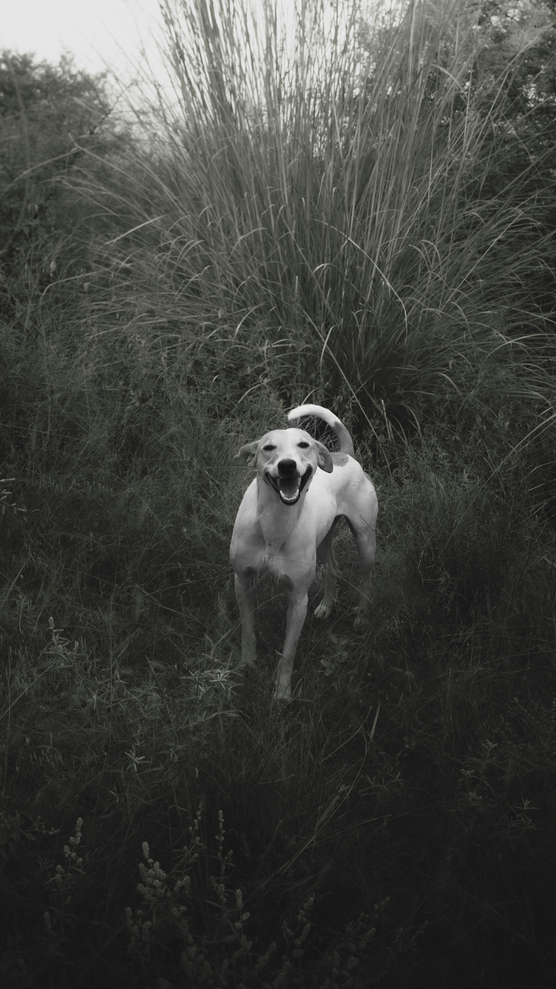 Photo by kumawatyash060