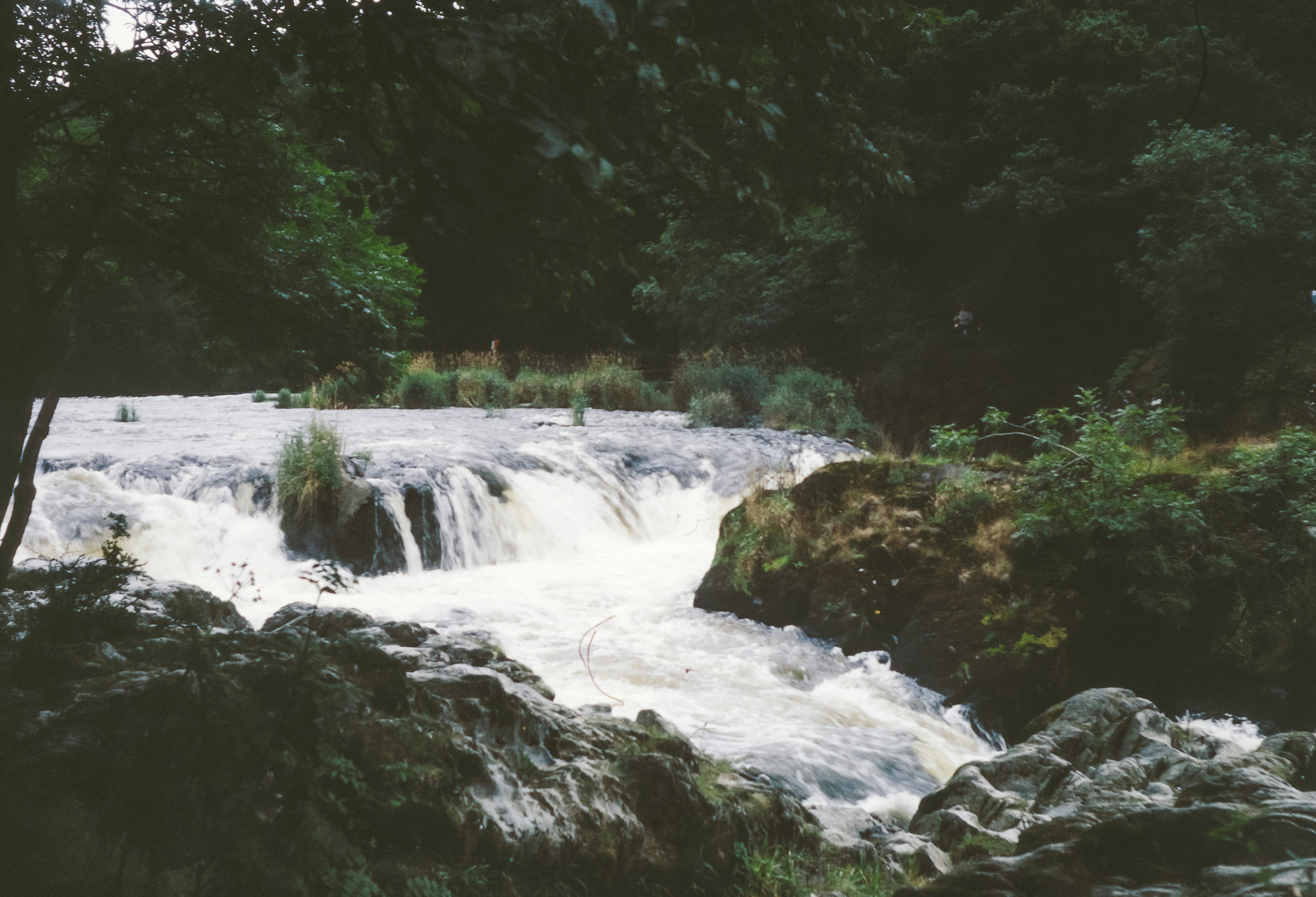 Photo by anniespratt