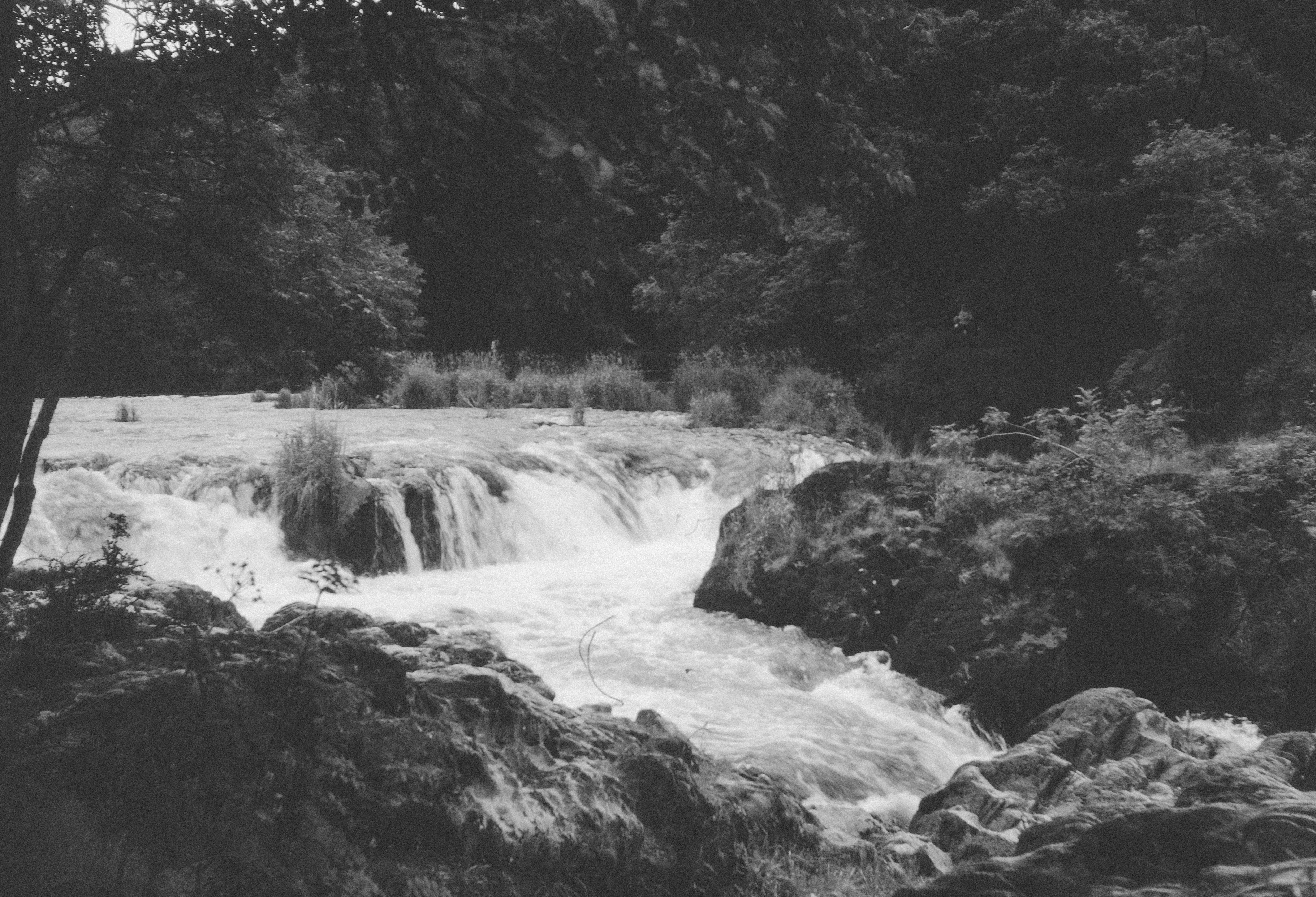 Photo by anniespratt