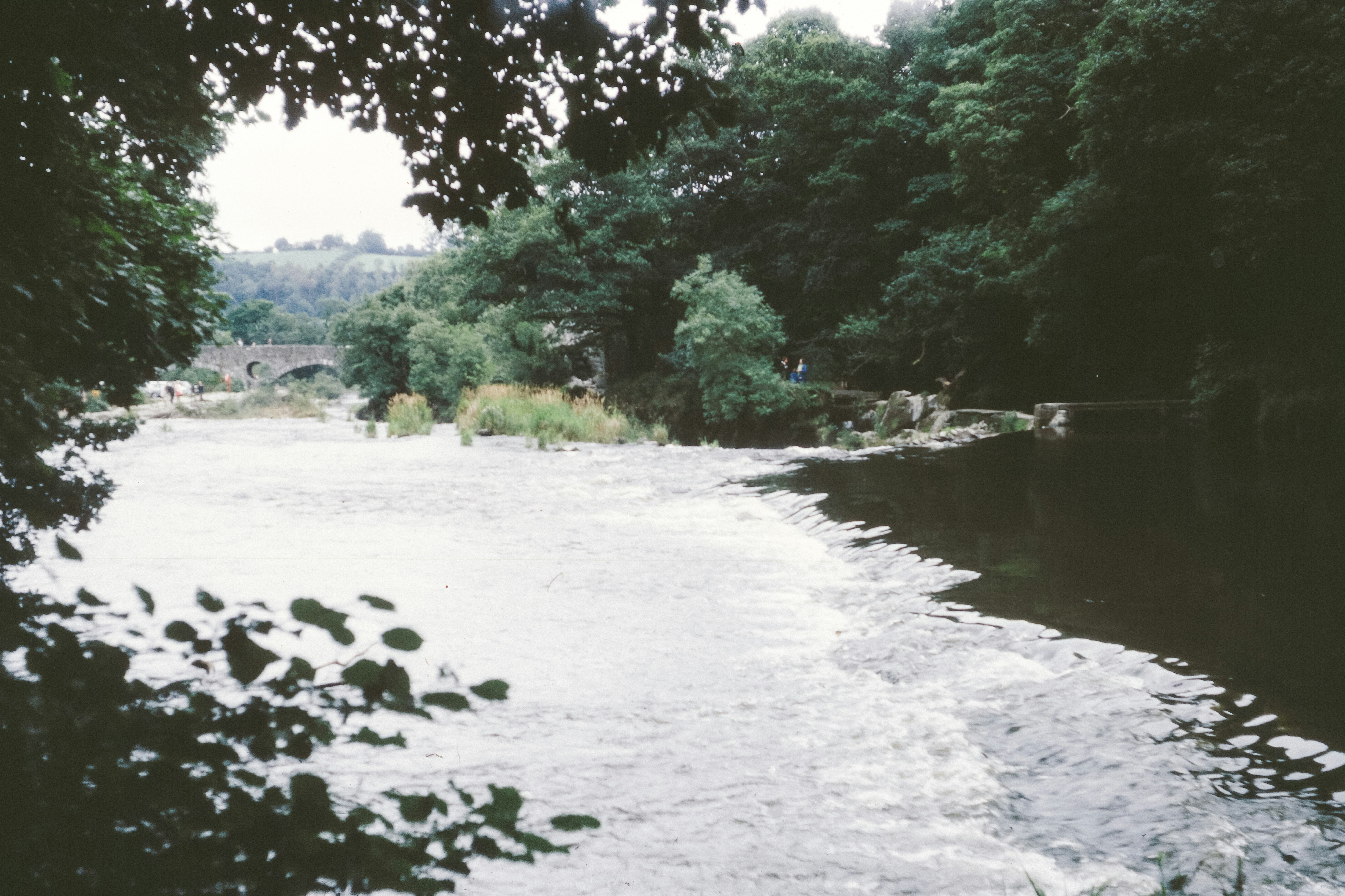 Photo by anniespratt