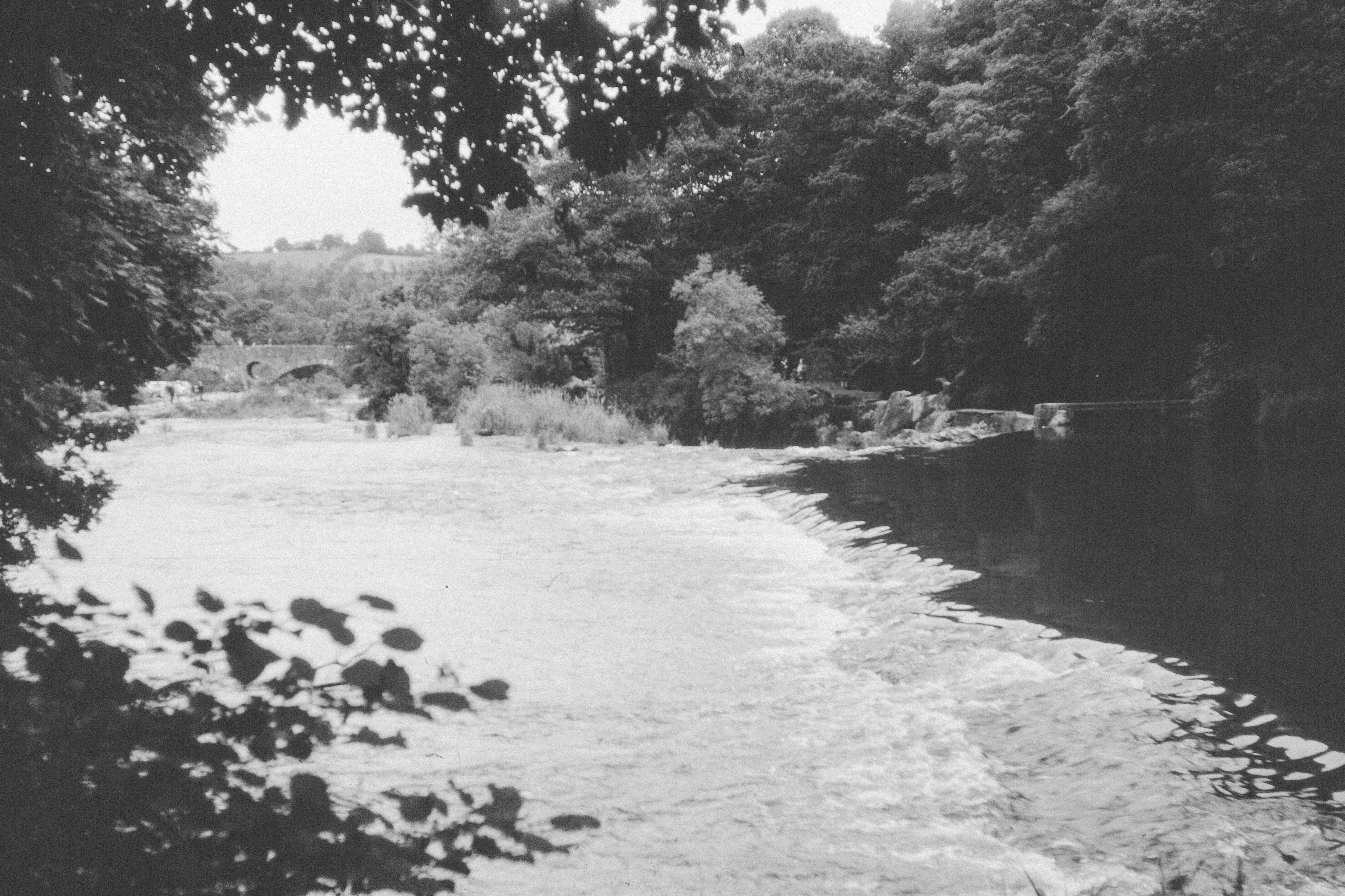 Photo by anniespratt