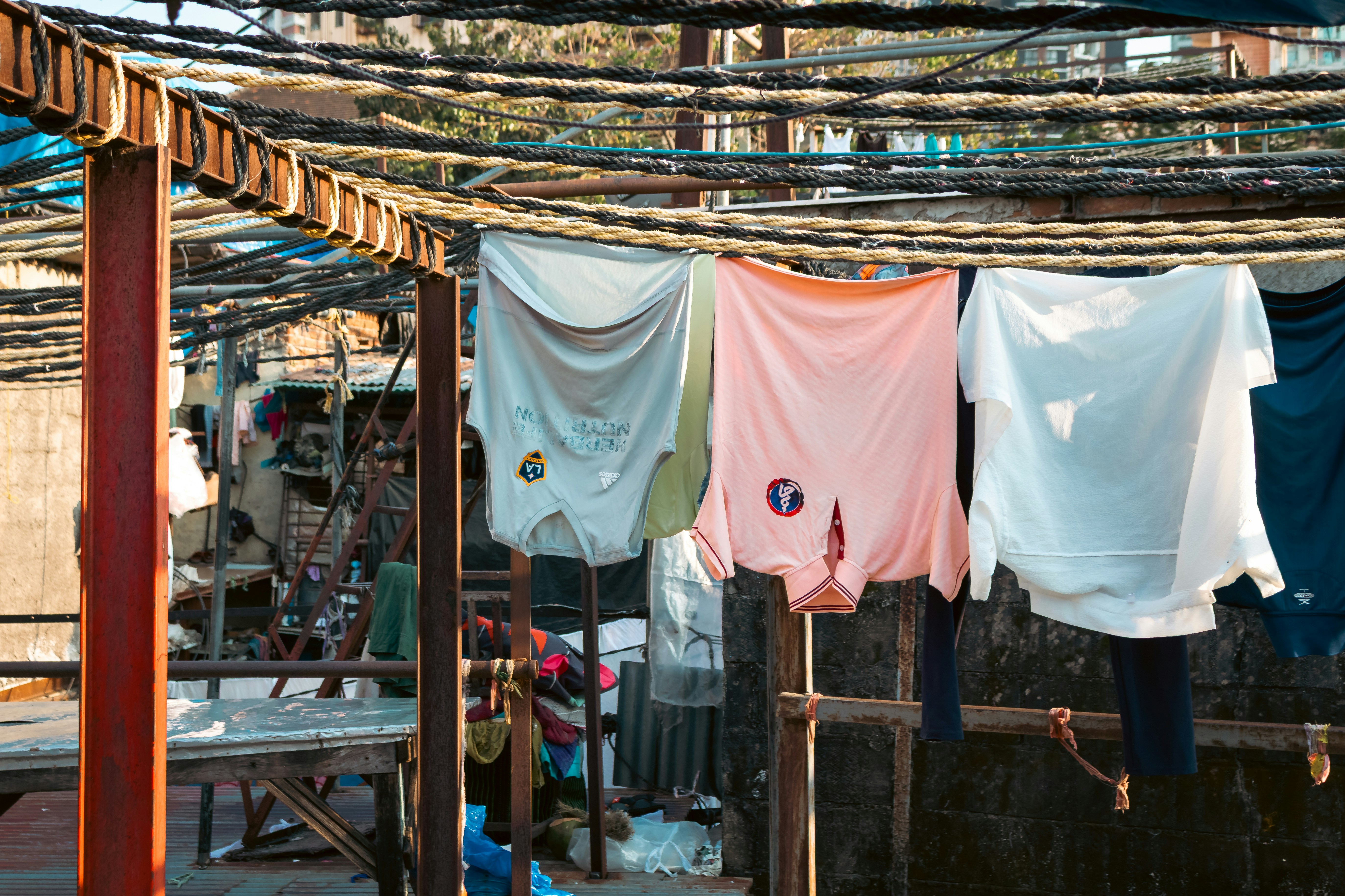 Photo by zoshuacolah