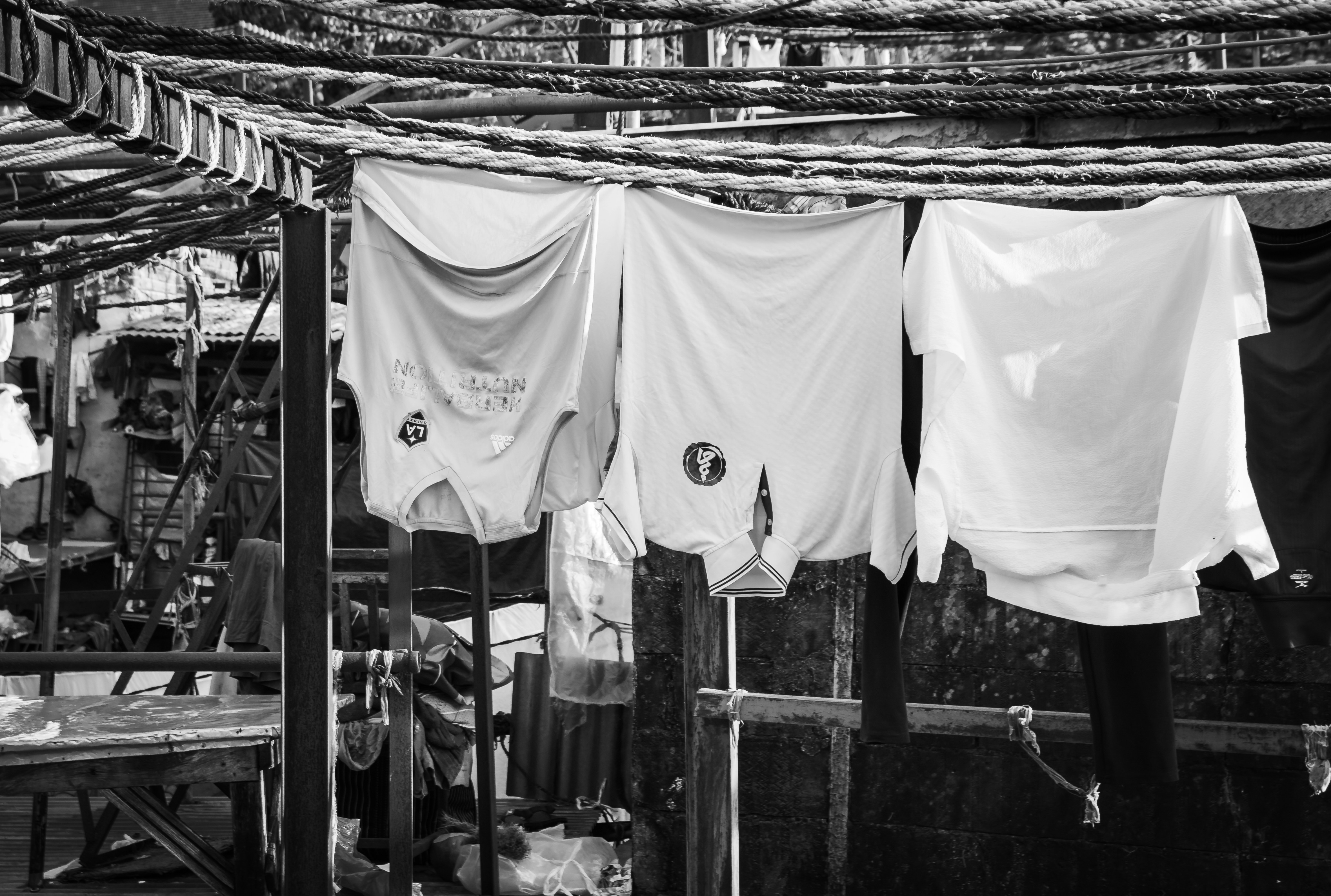 Photo by zoshuacolah