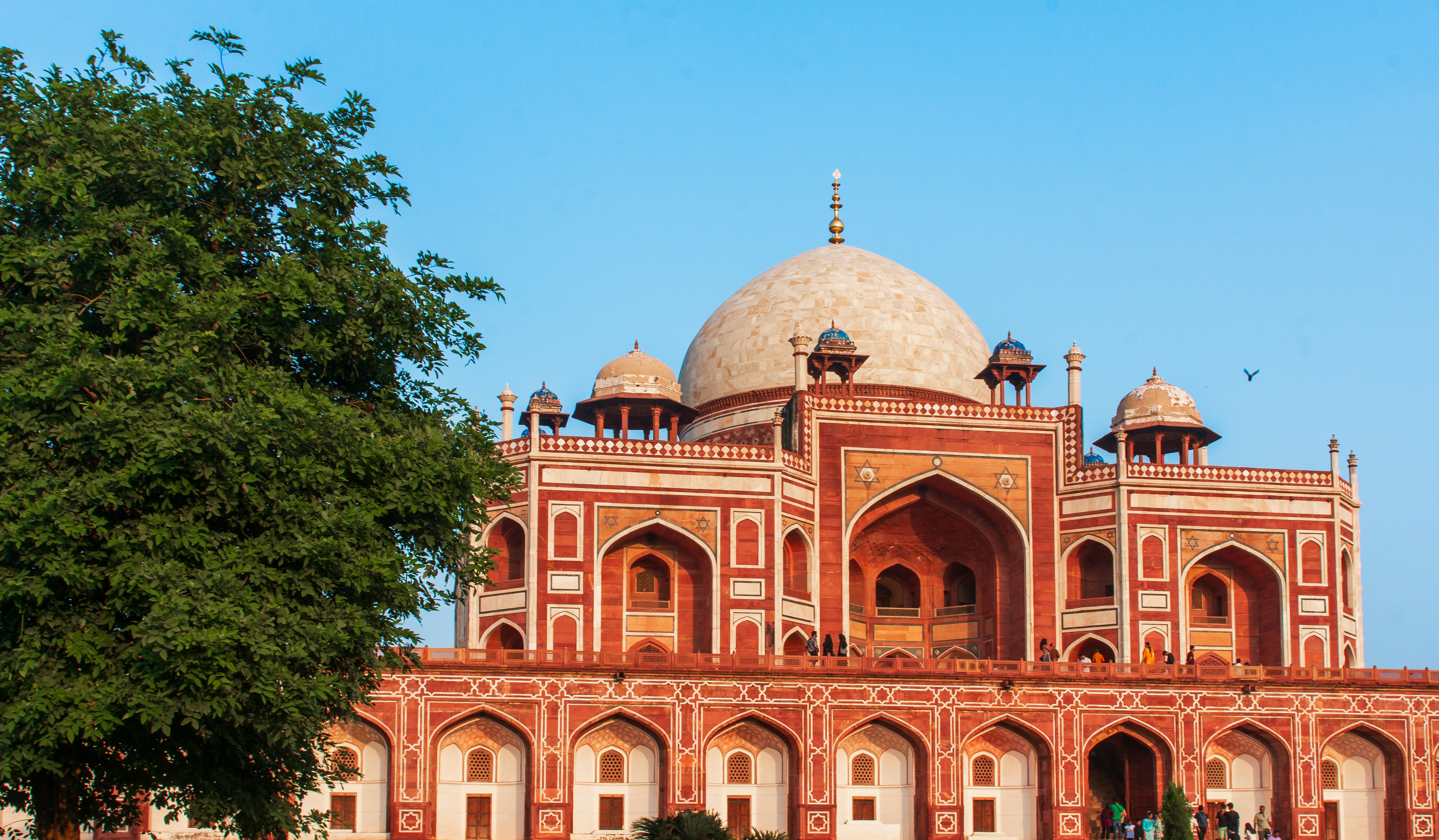 Photo by zoshuacolah