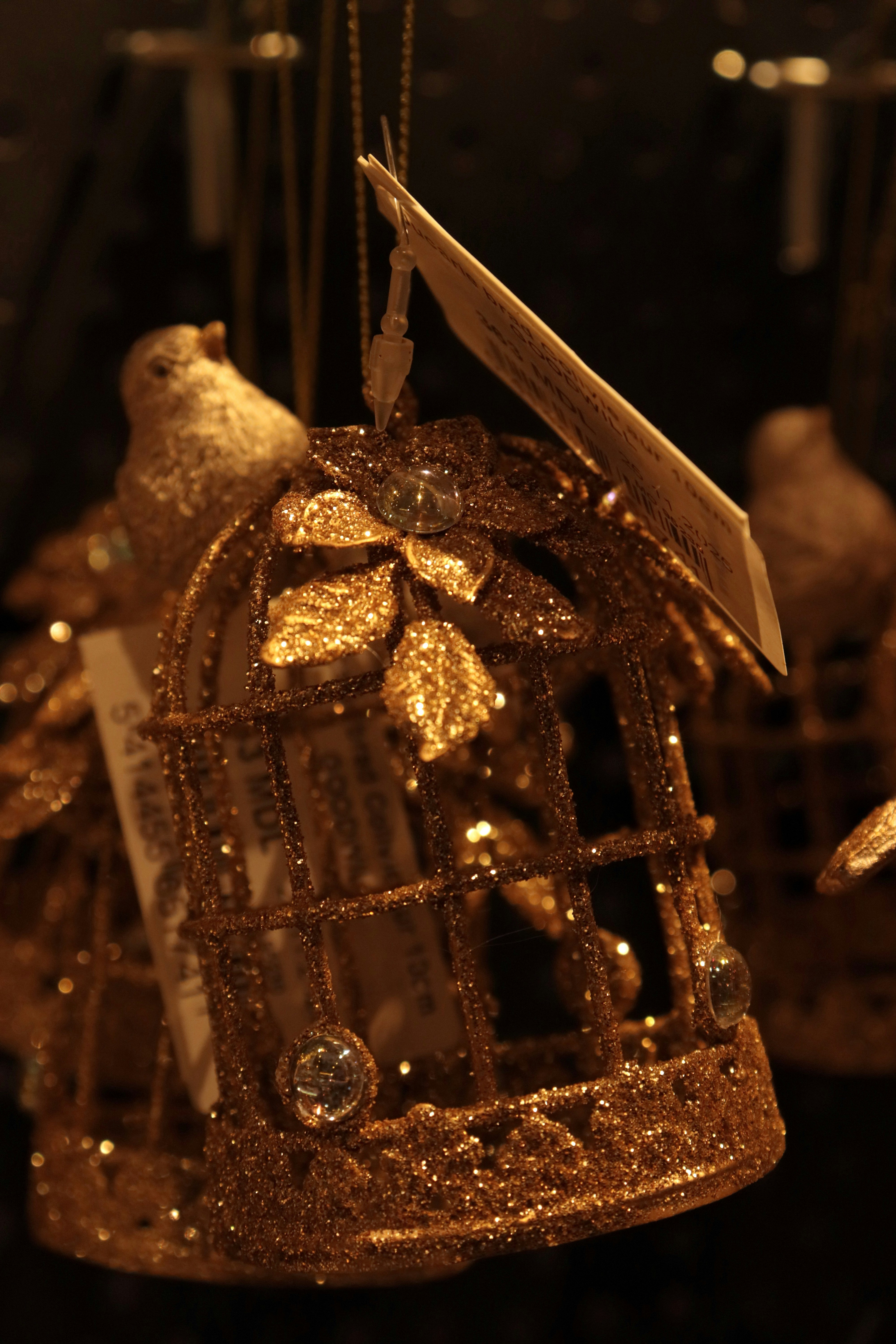 Photo by bored_mongoose