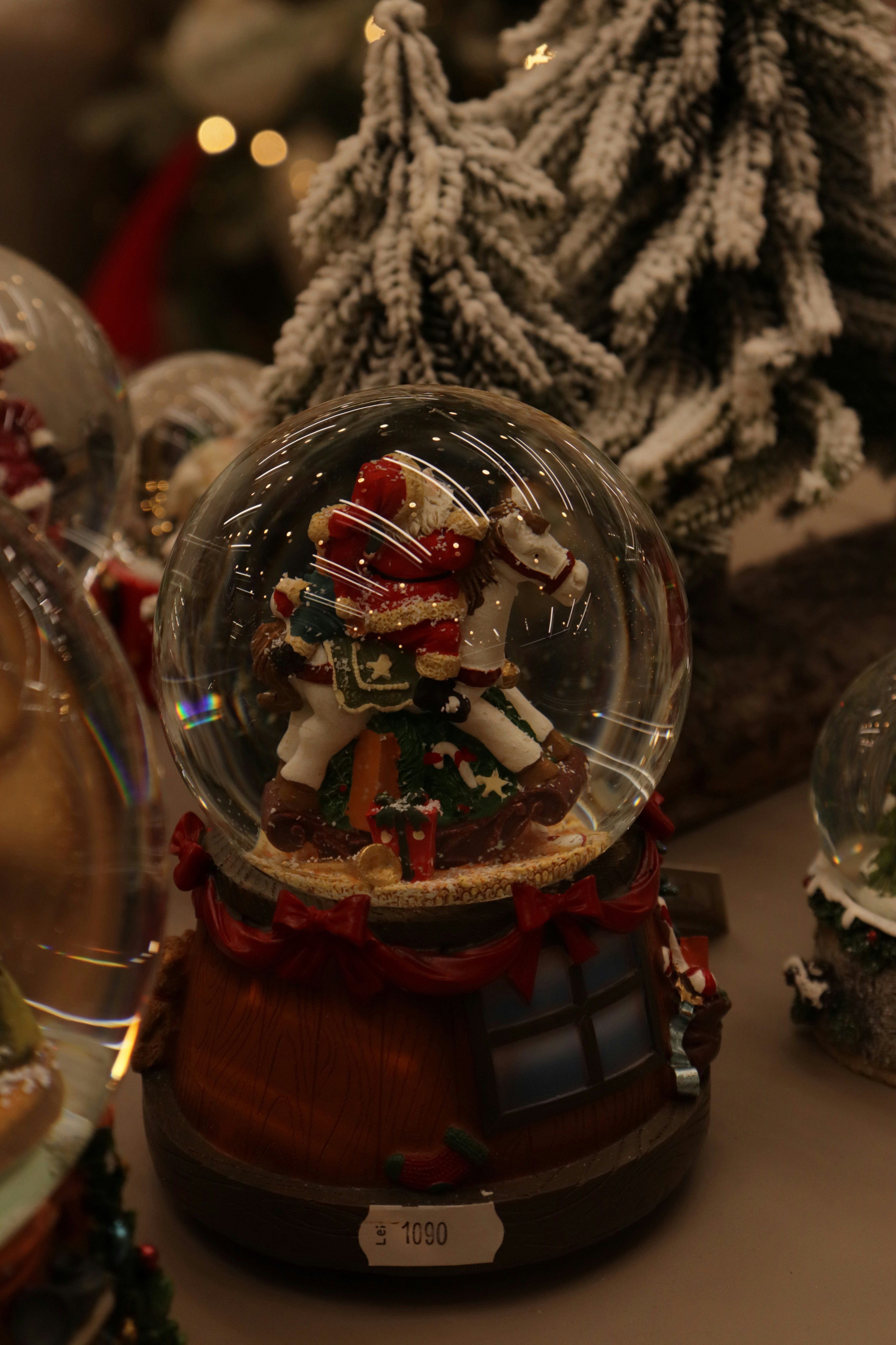 Photo by bored_mongoose