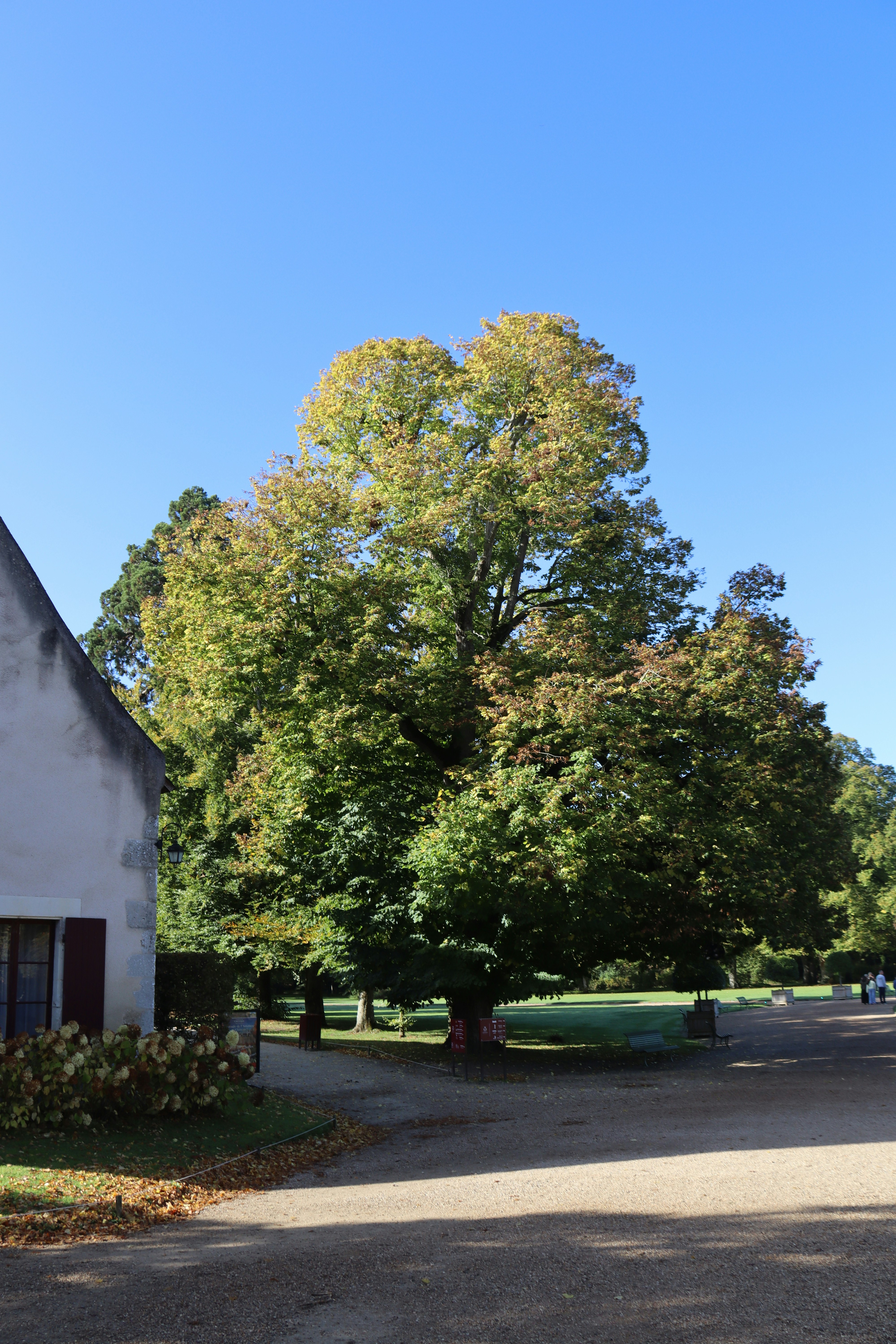 Photo by shalevcohen