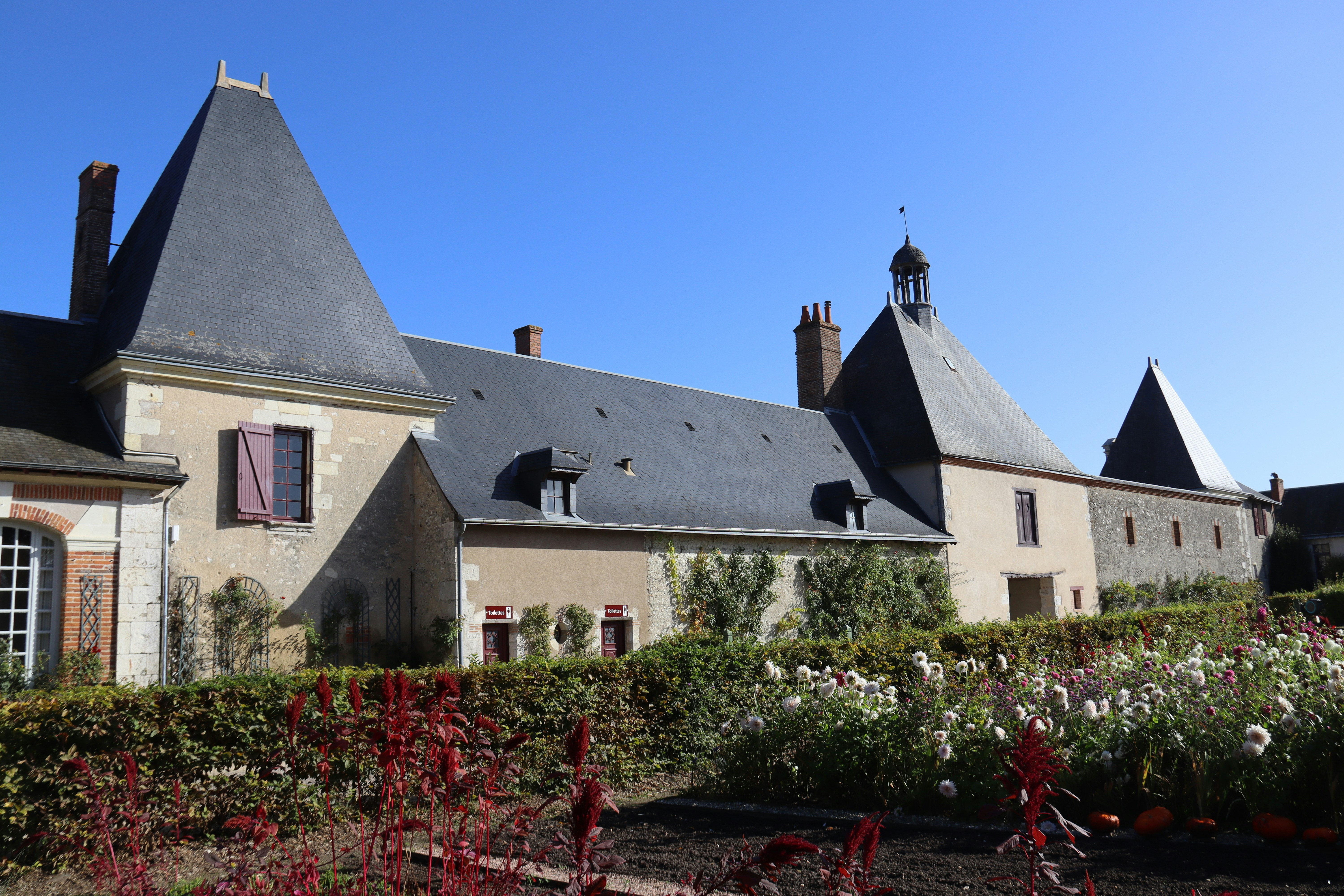 Photo by shalevcohen