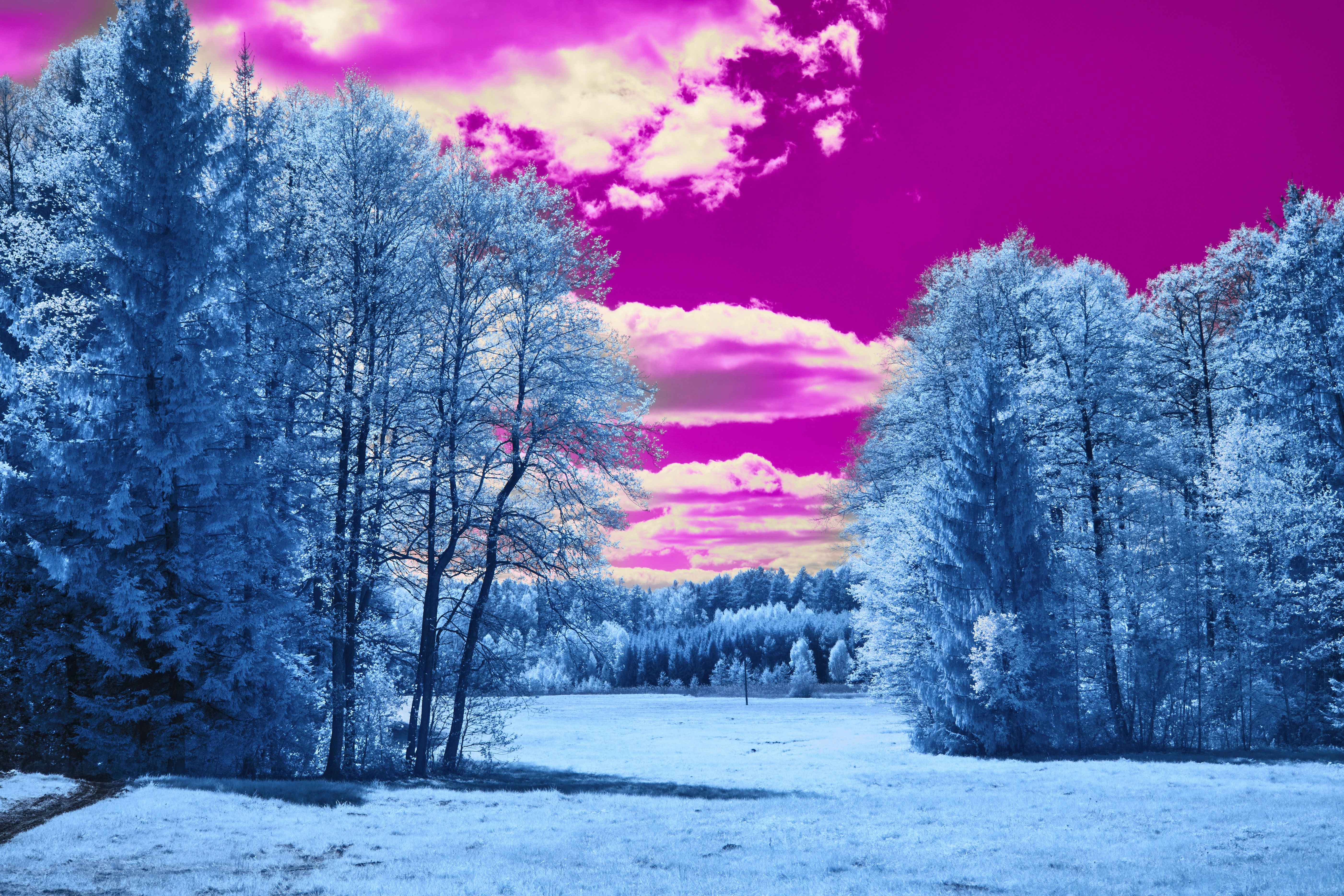 Photo by wolfgang_hasselmann