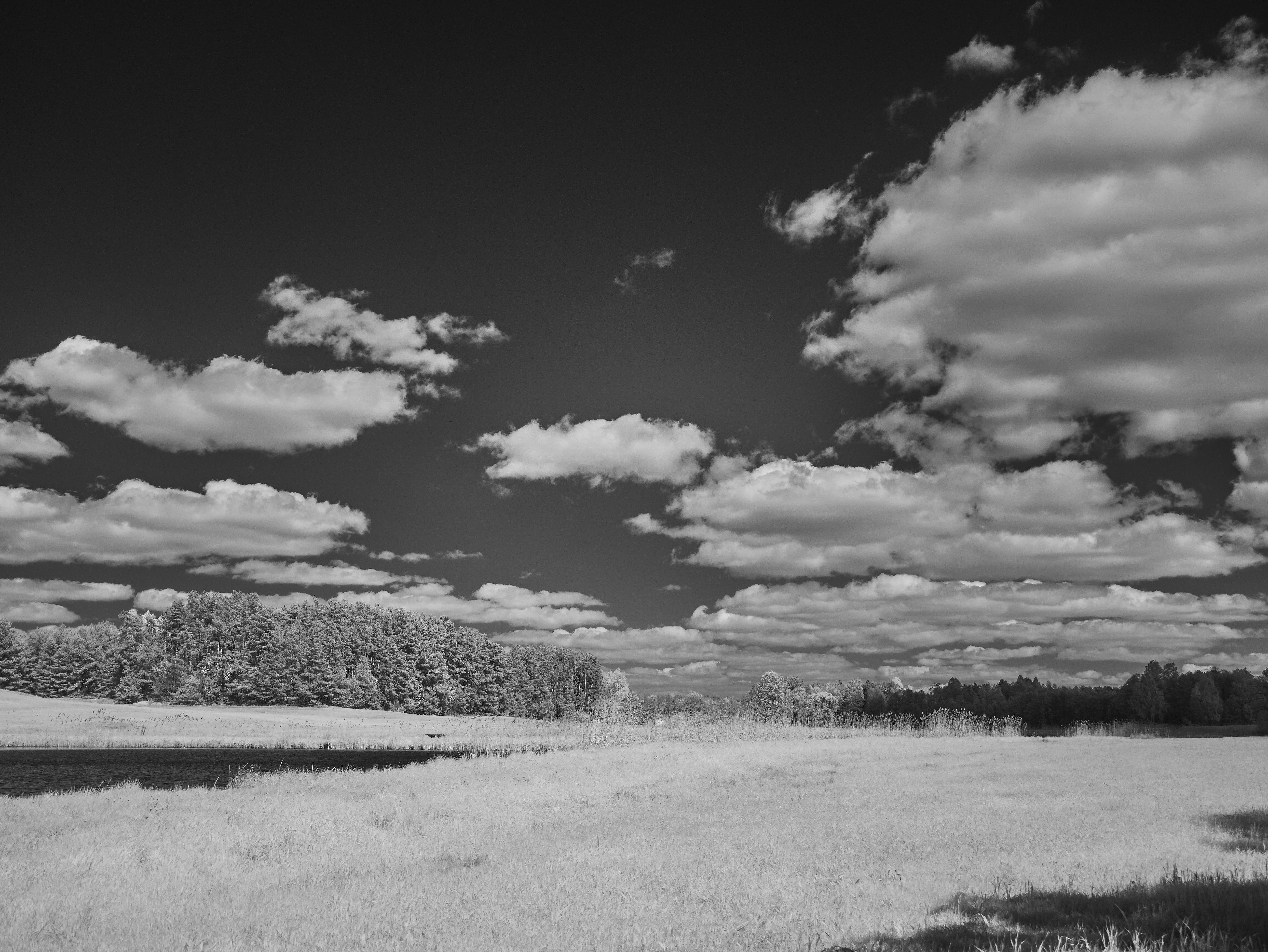 Photo by wolfgang_hasselmann