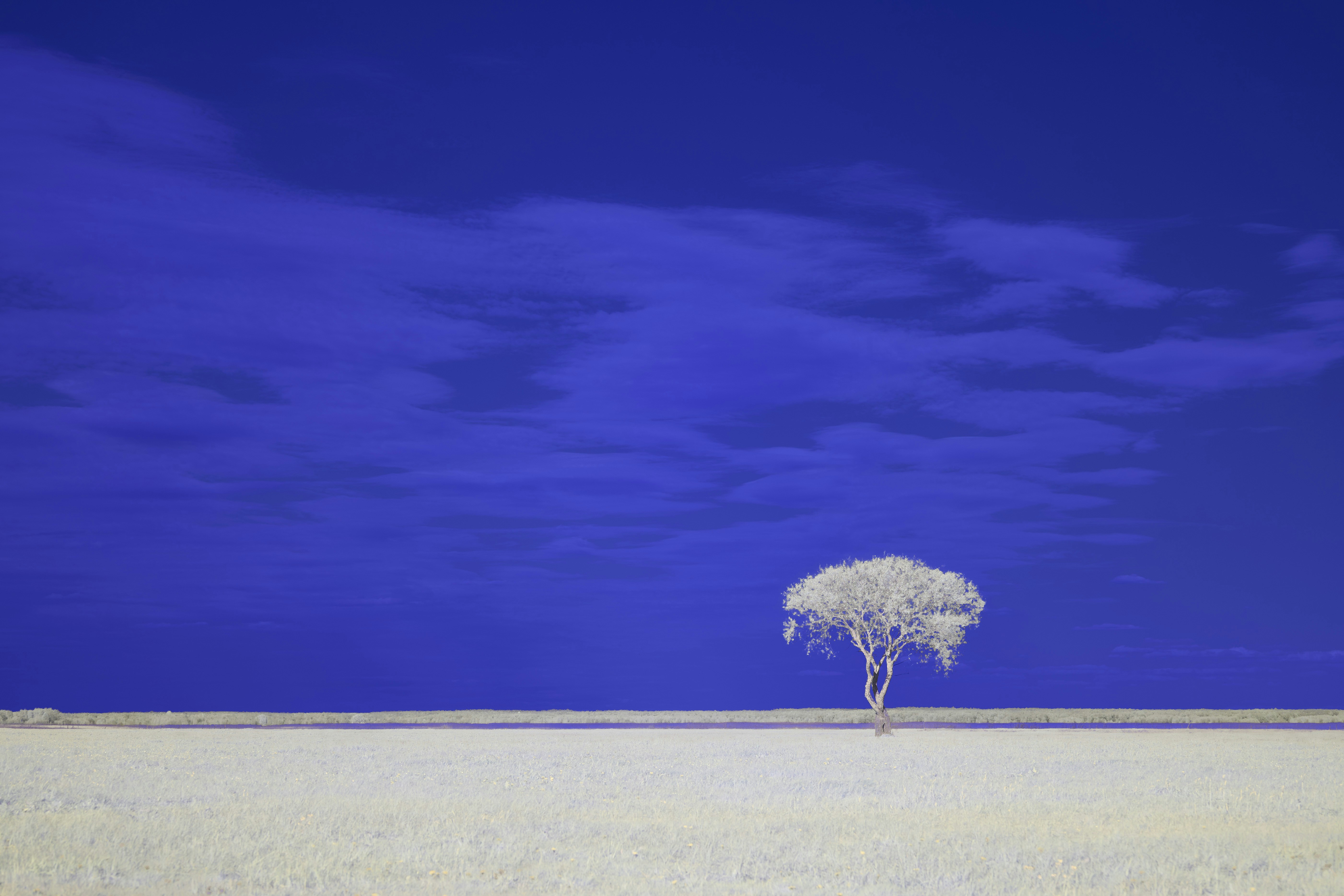 Photo by wolfgang_hasselmann