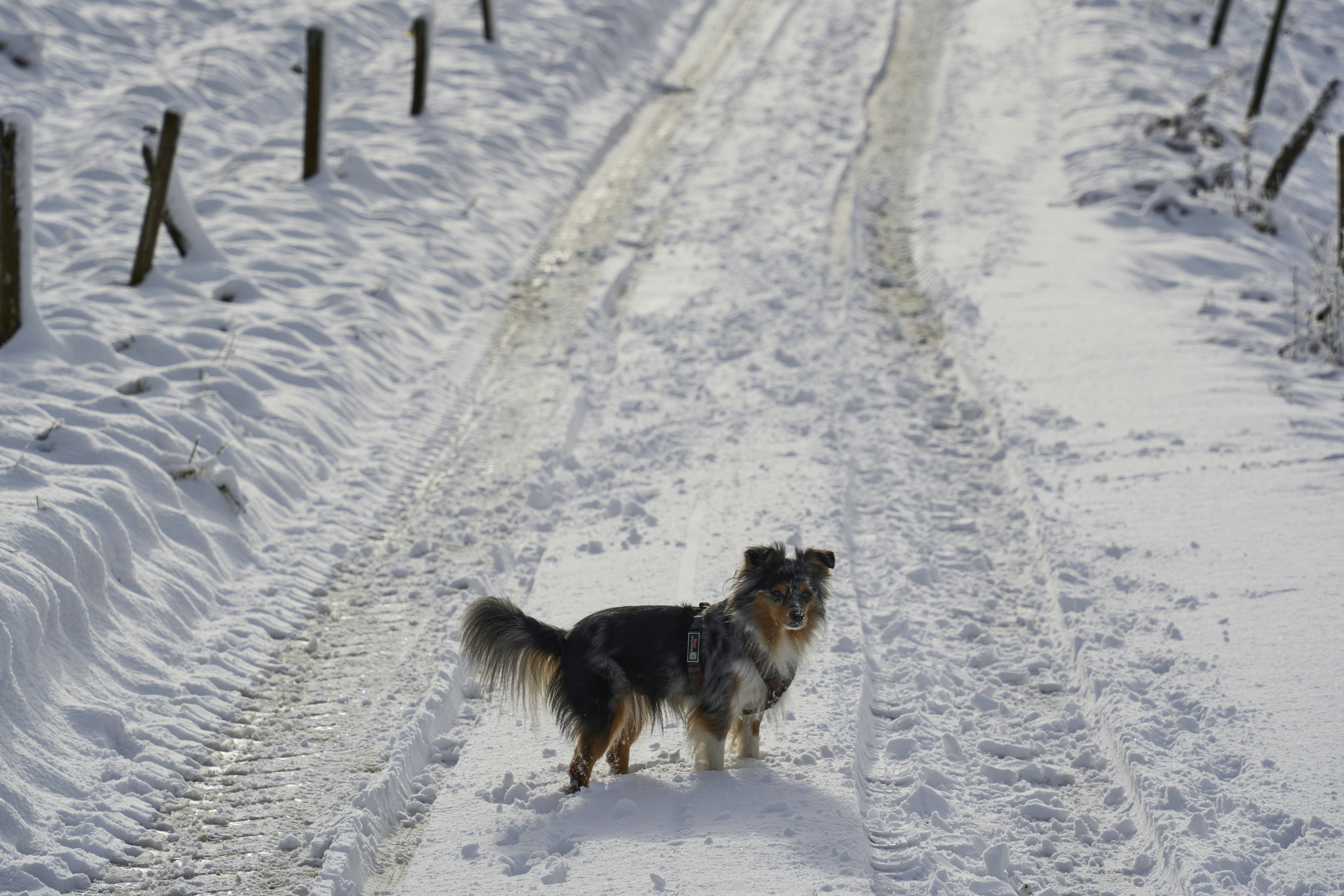 Photo by wolfgang_hasselmann