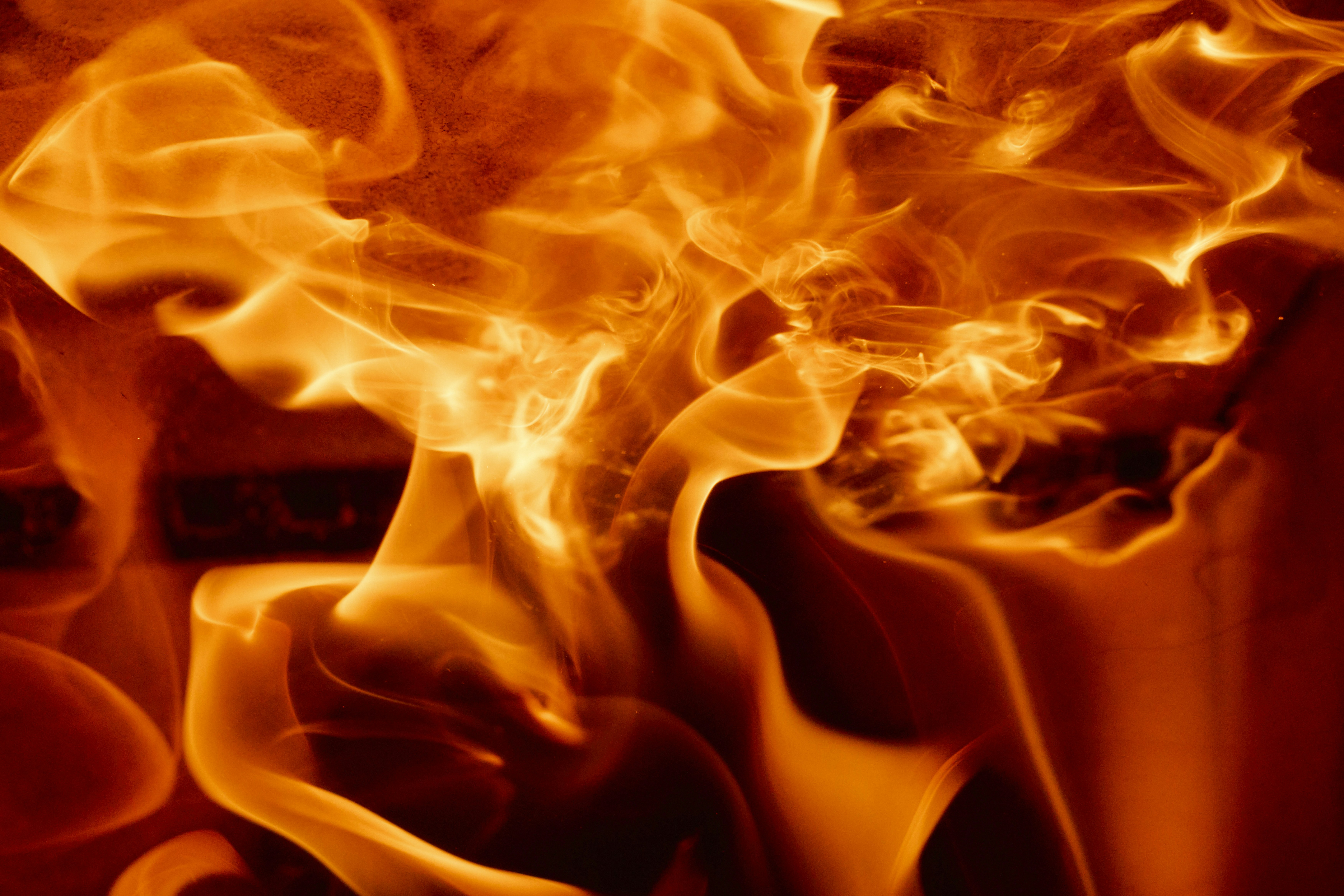 Photo by wolfgang_hasselmann