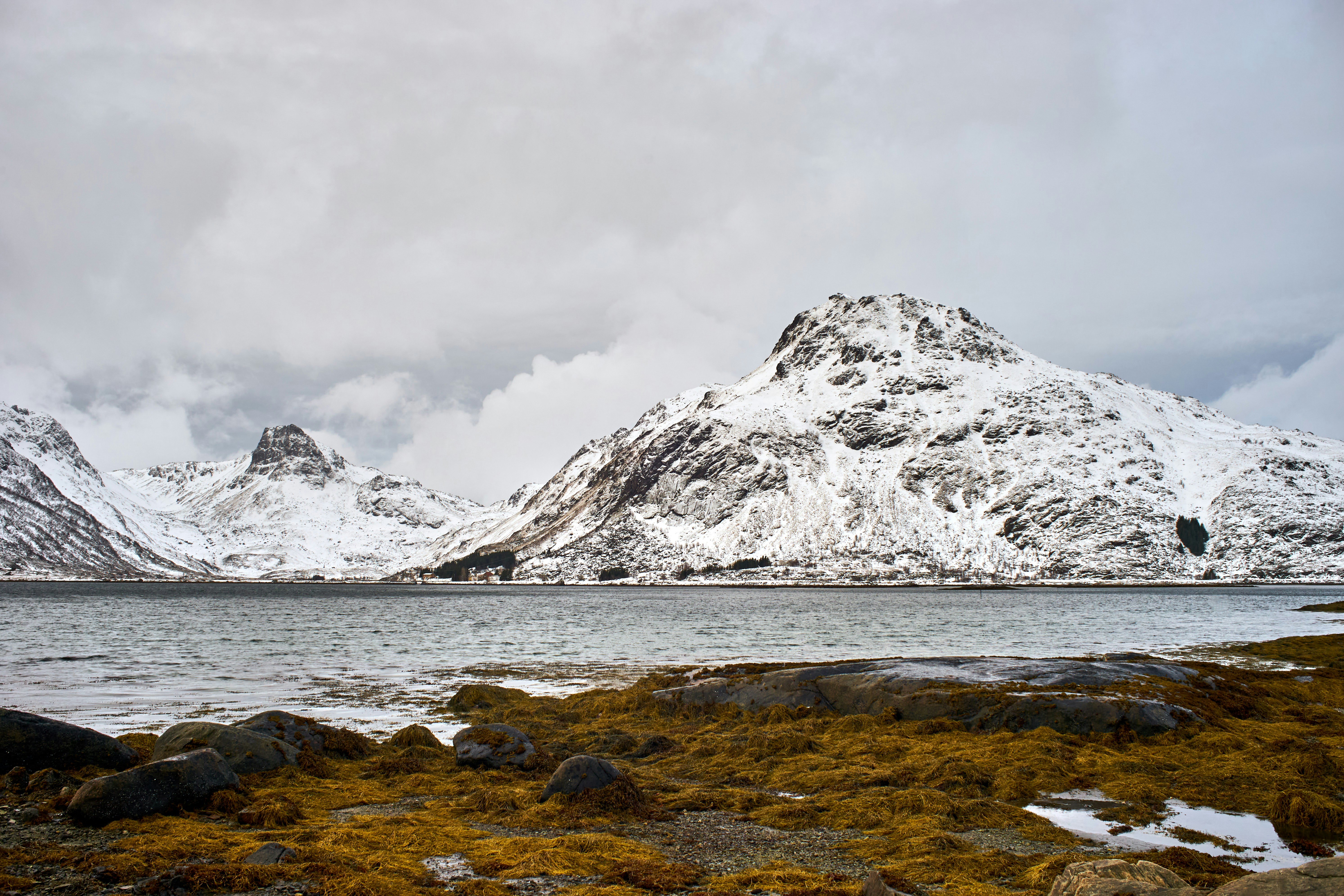 Photo by wolfgang_hasselmann