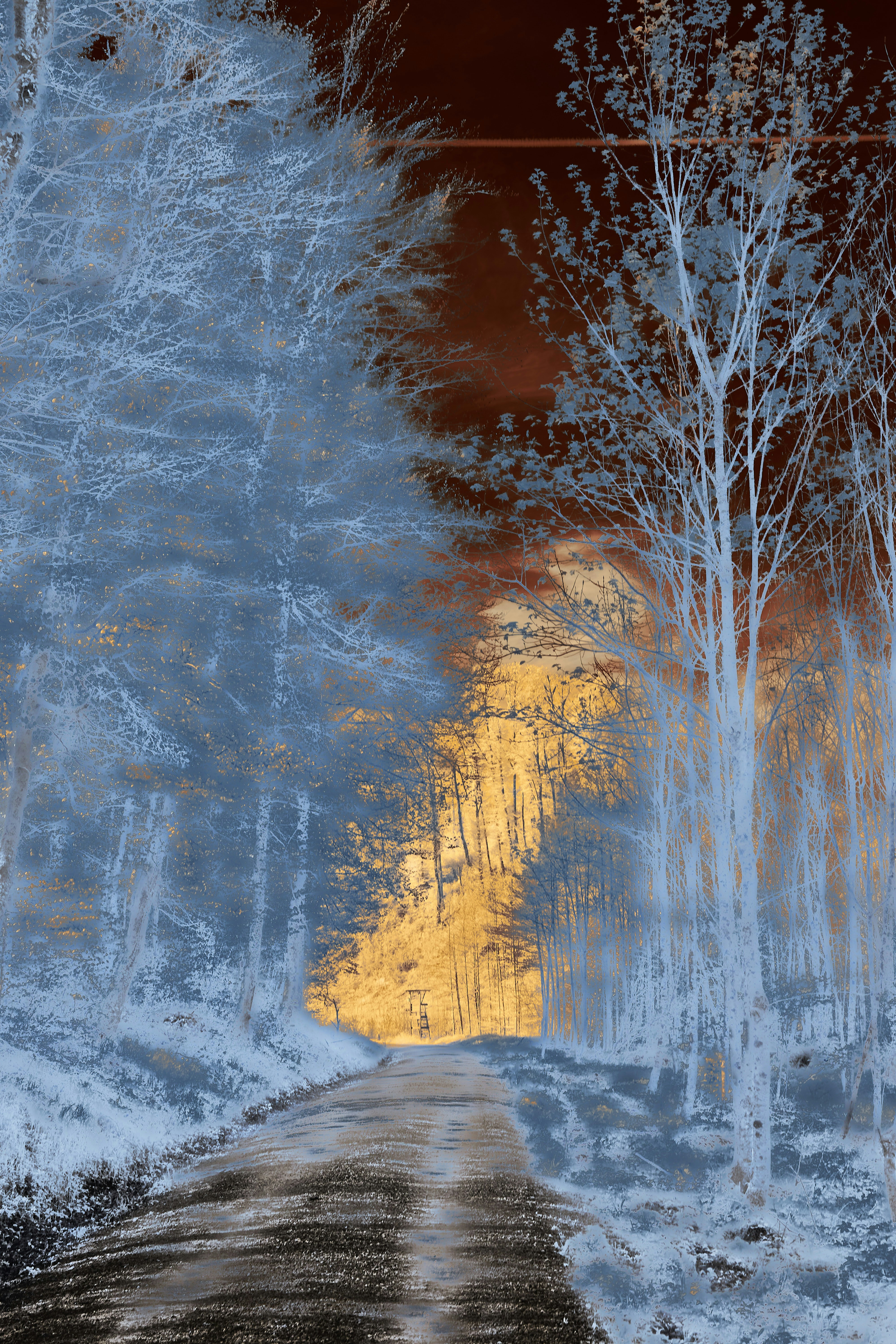 Photo by wolfgang_hasselmann