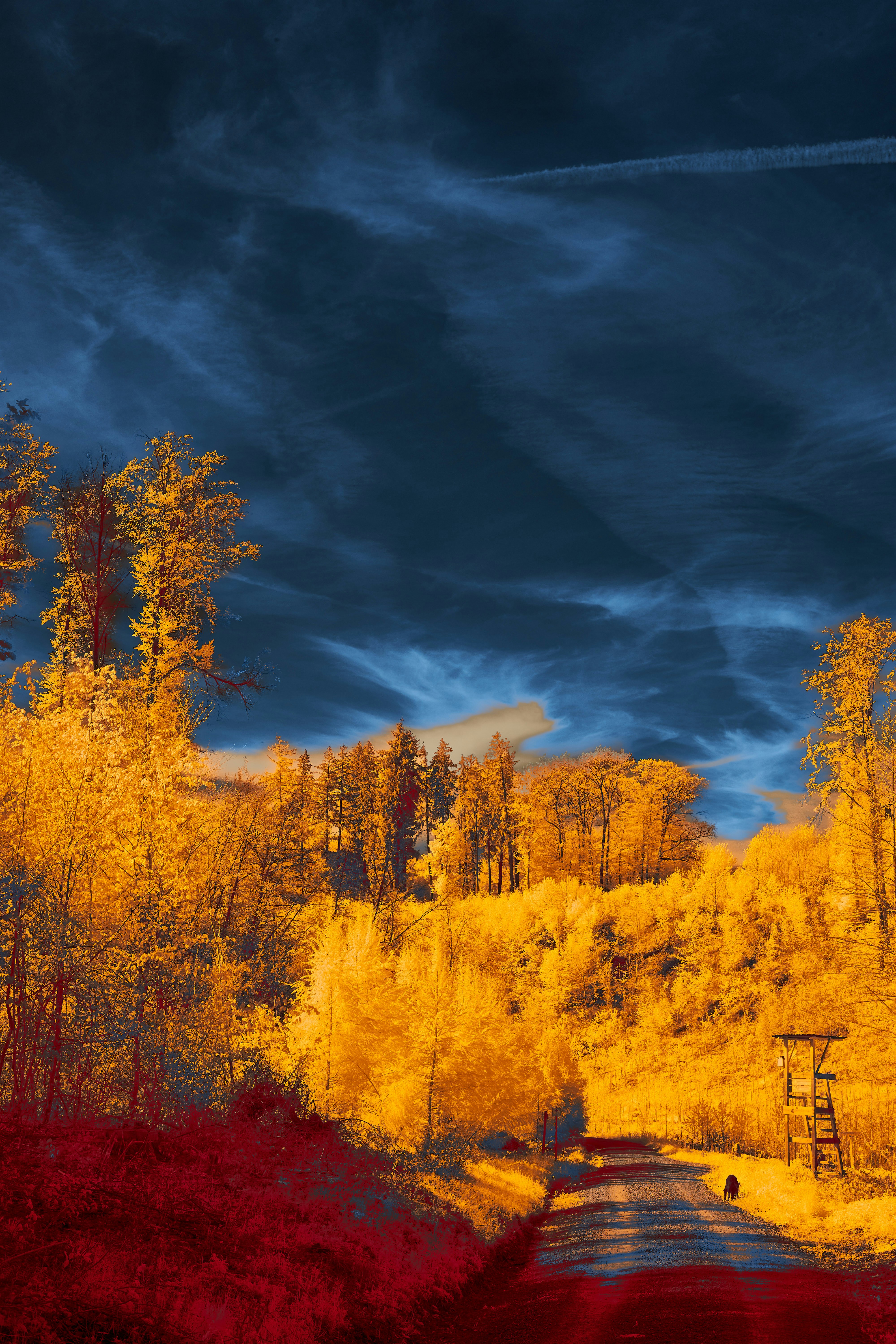 Photo by wolfgang_hasselmann