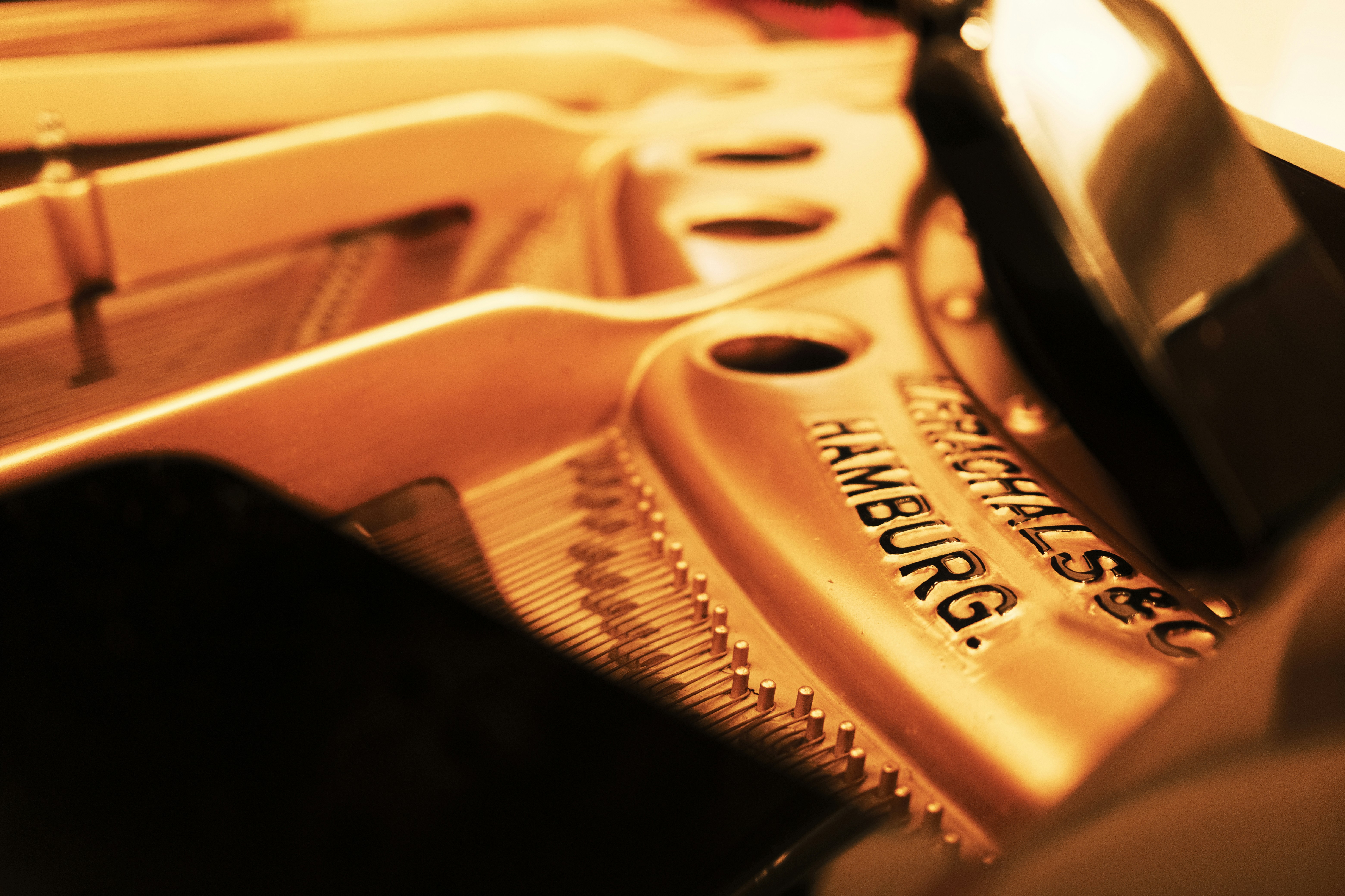 Primer plano de cuerdas de piano y martillos