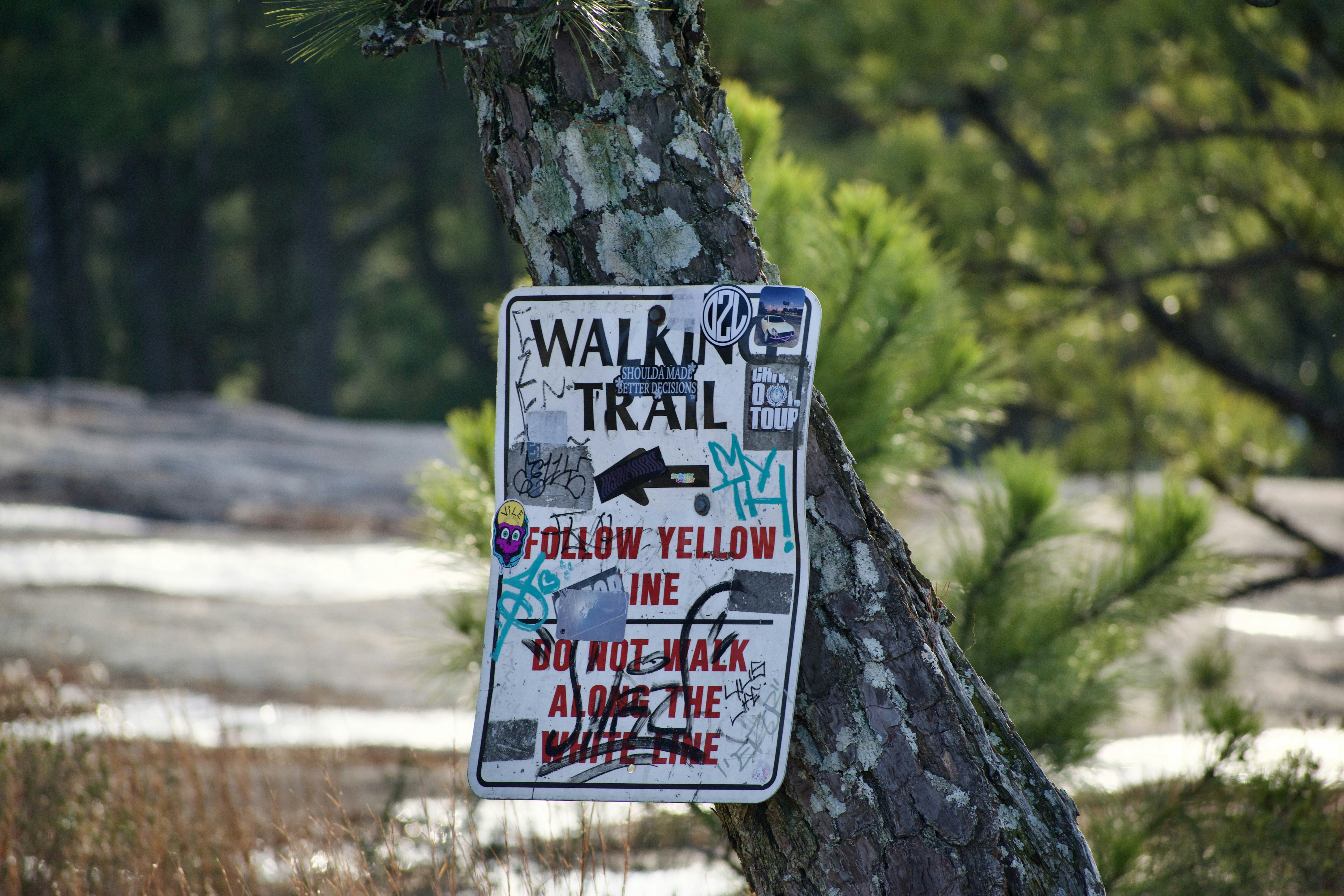 Cultural Appropriation vs Appreciation: Navigating Viral 'Chinese Time' Trends as a Respectful Traveler