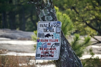 Trail Running Shoes vs Hiking Boots â Compared