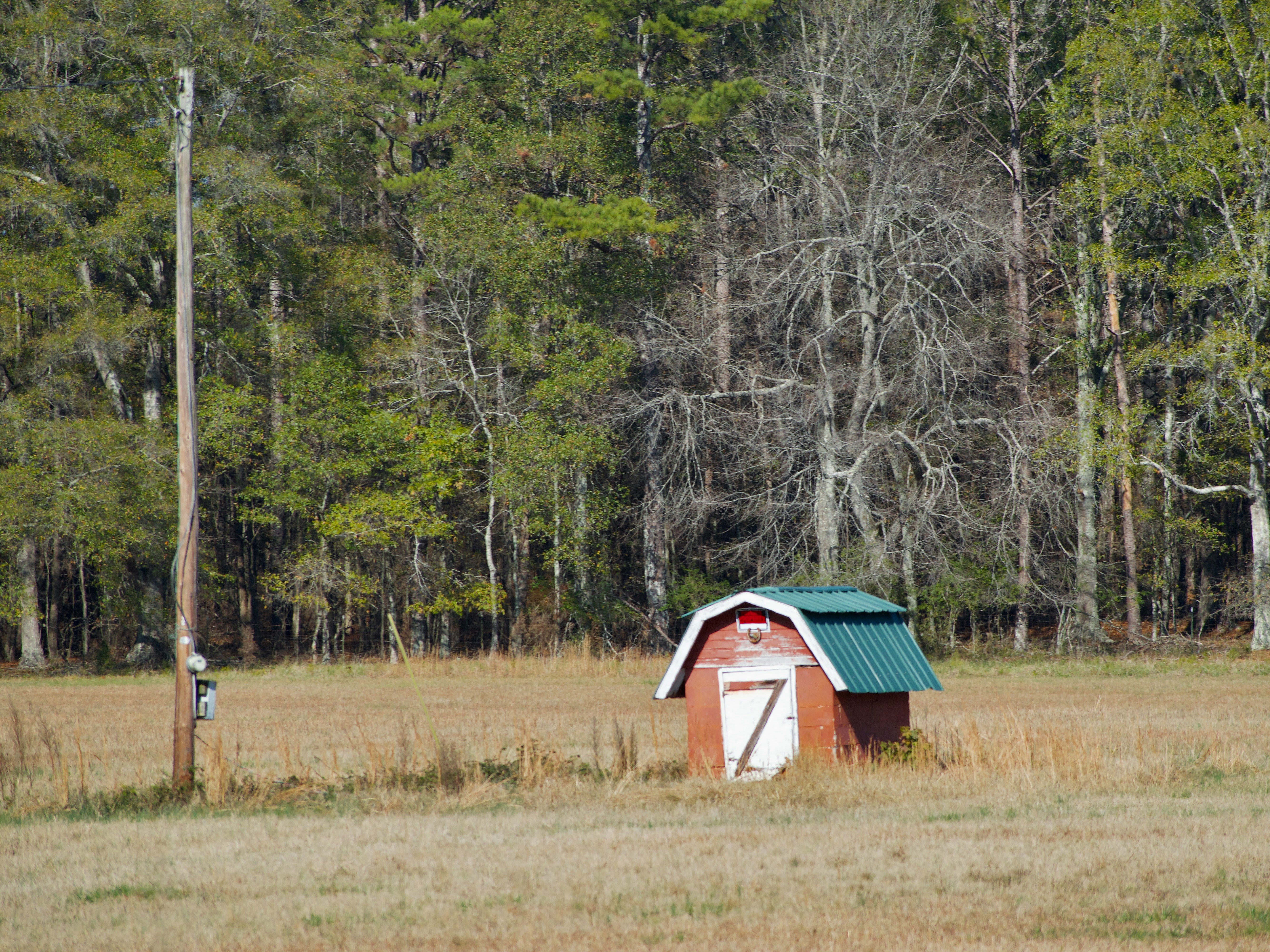One Roof, Two Generations, Zero Regrets: The Case for Multigenerational Living in Toomsboro