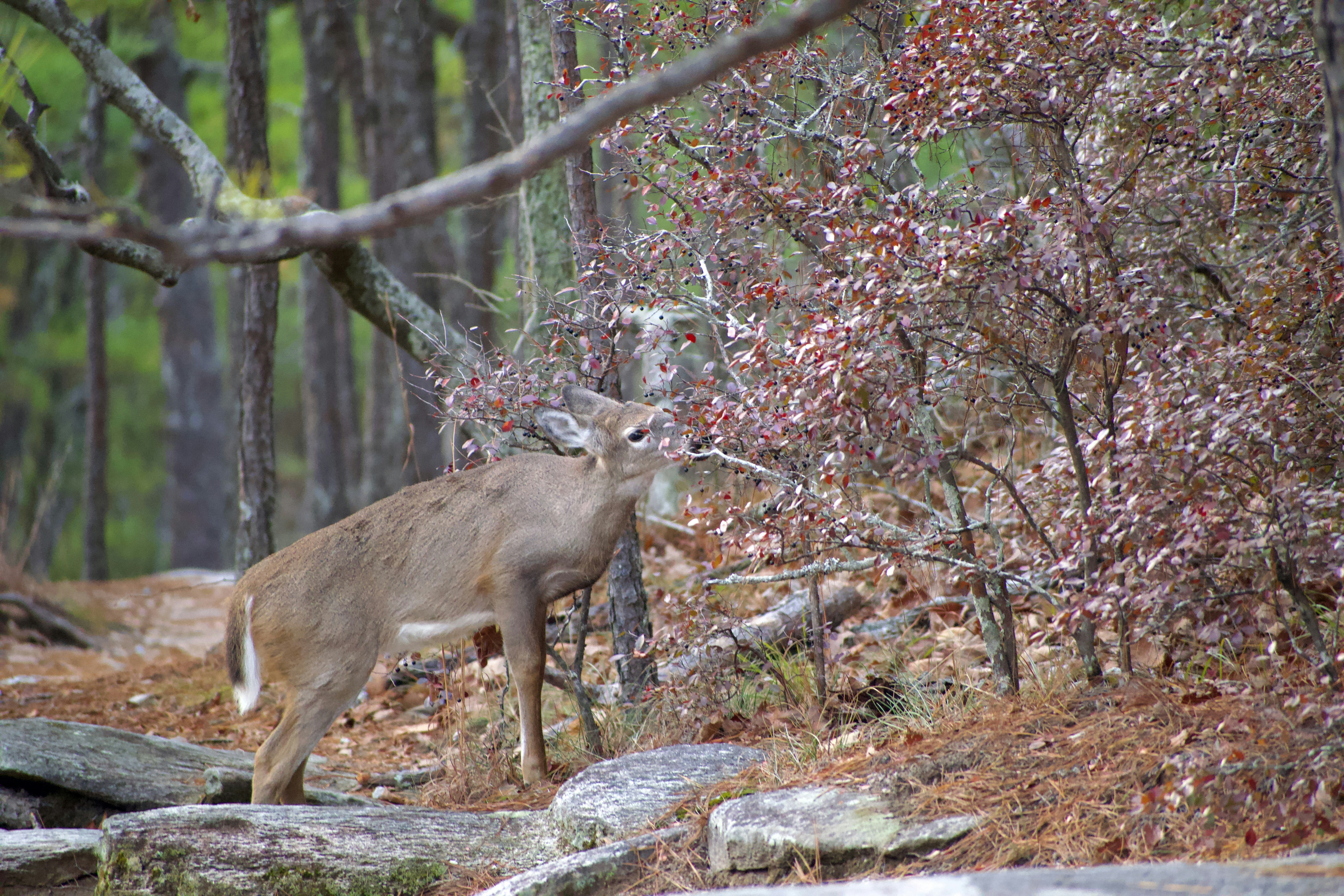 Lifestyle transformation