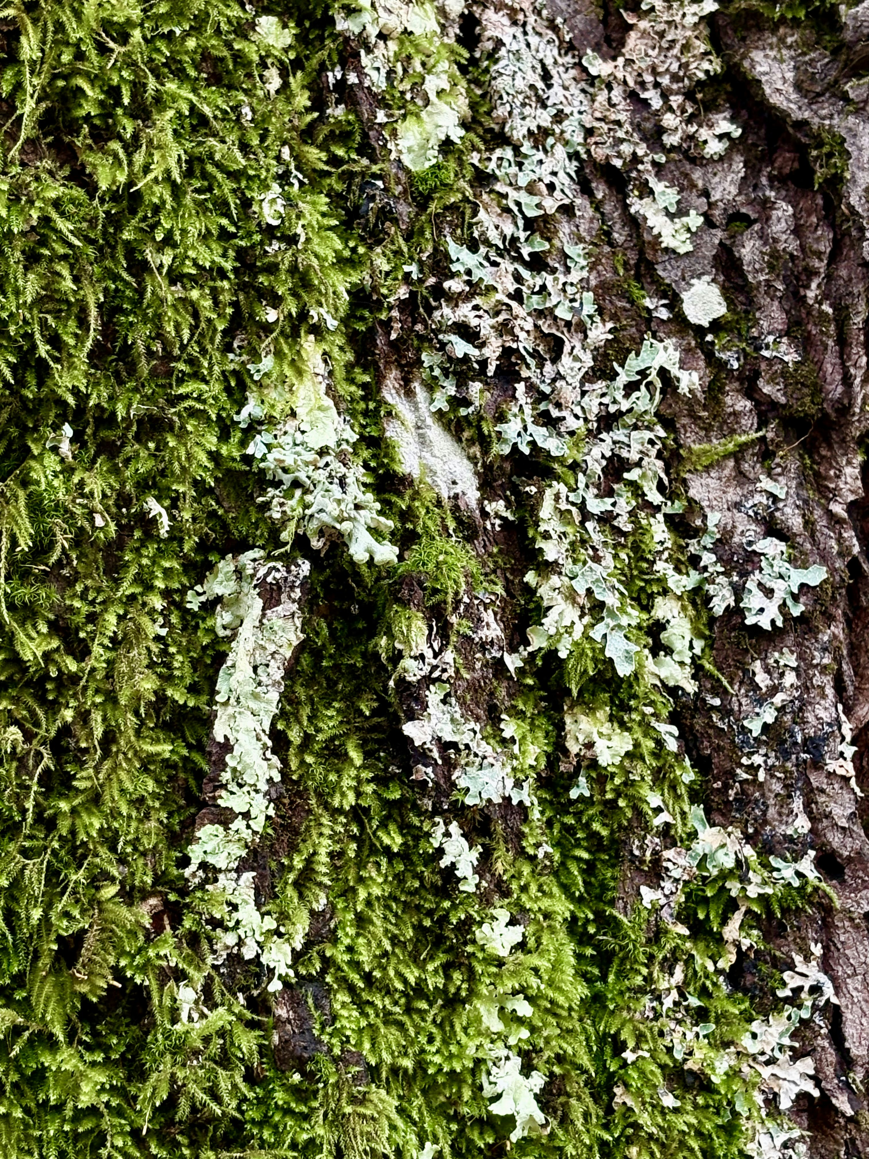 Photo by mmiglio2025