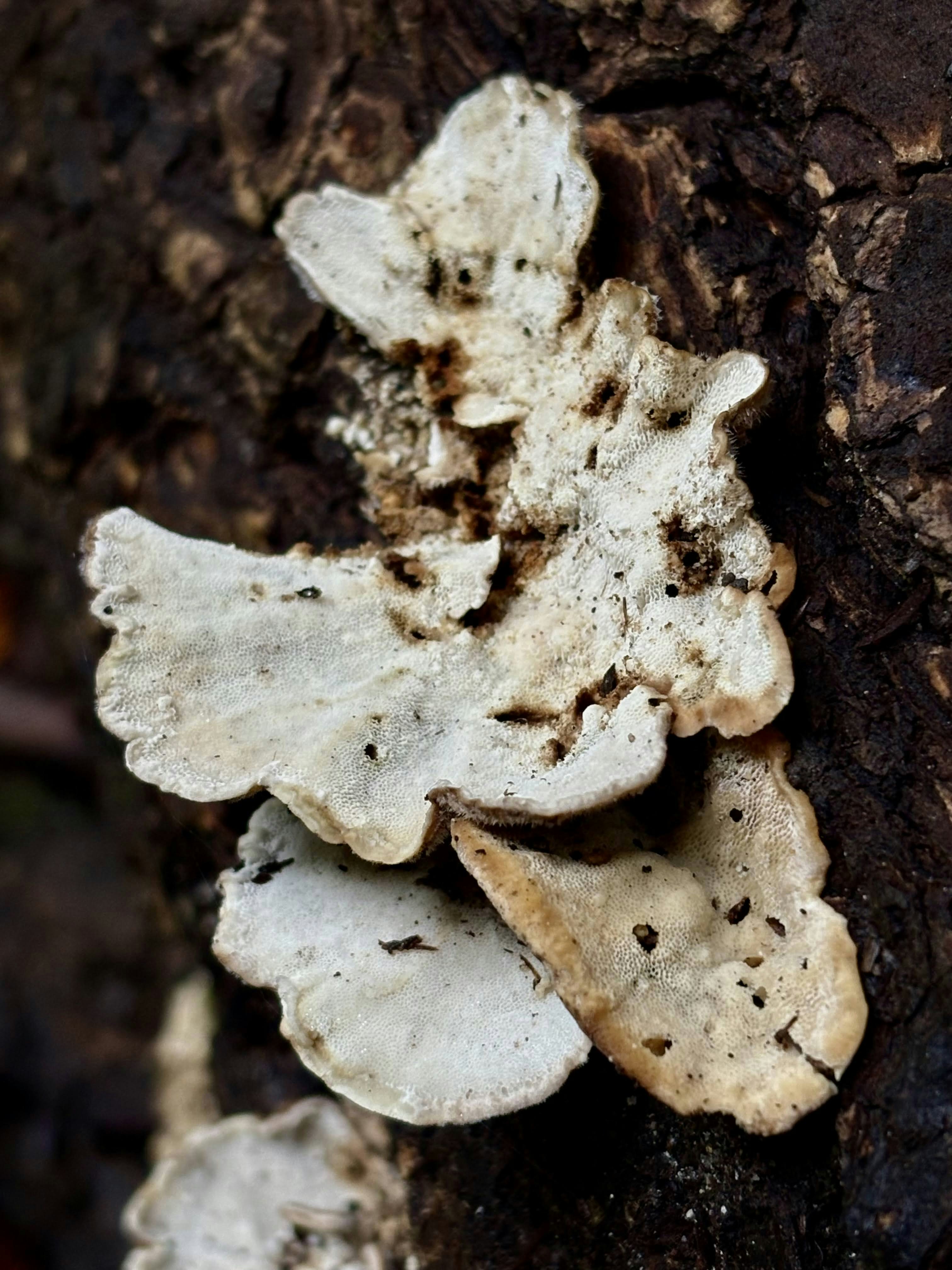 Photo by mmiglio2025