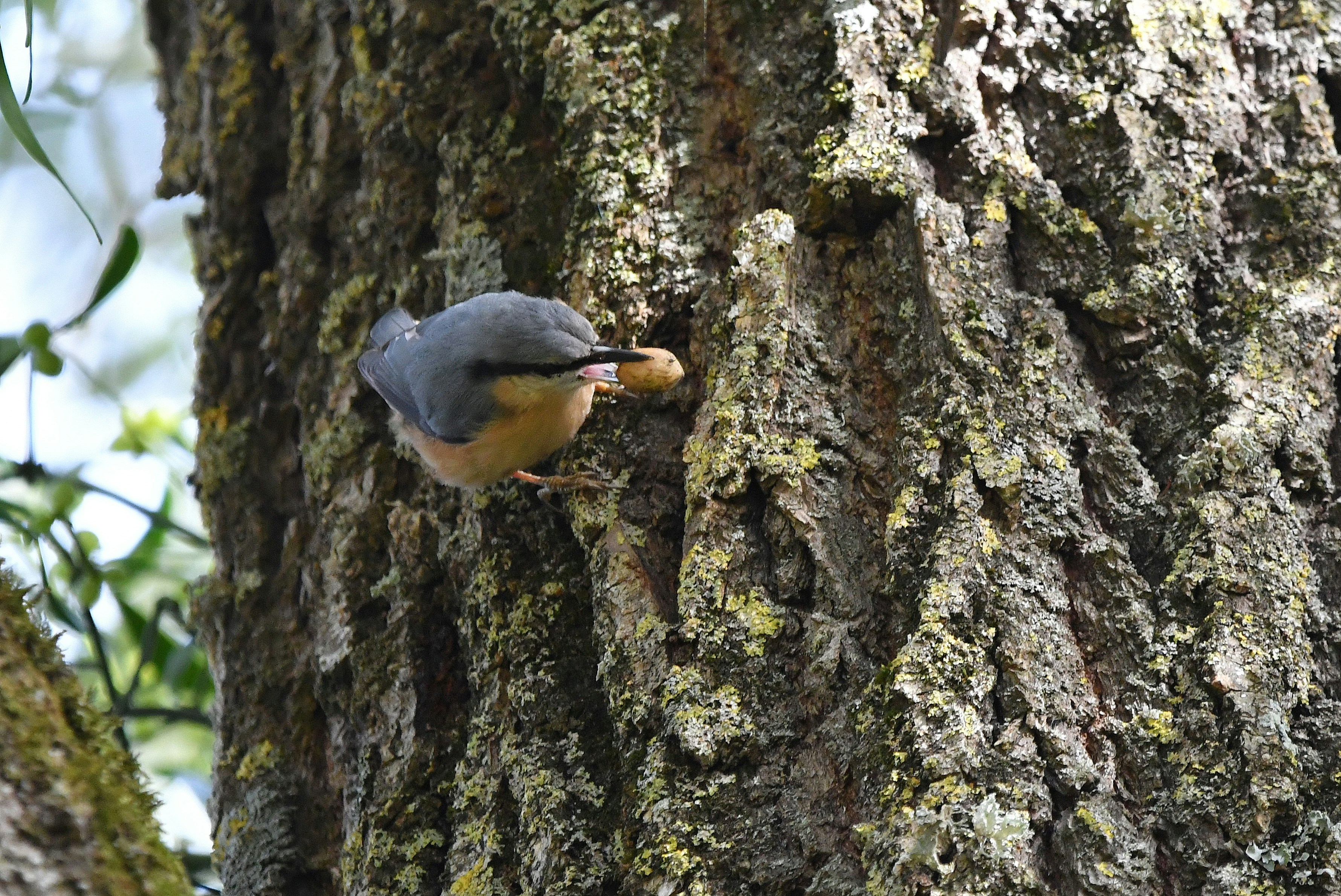 Photo by geraldine86170