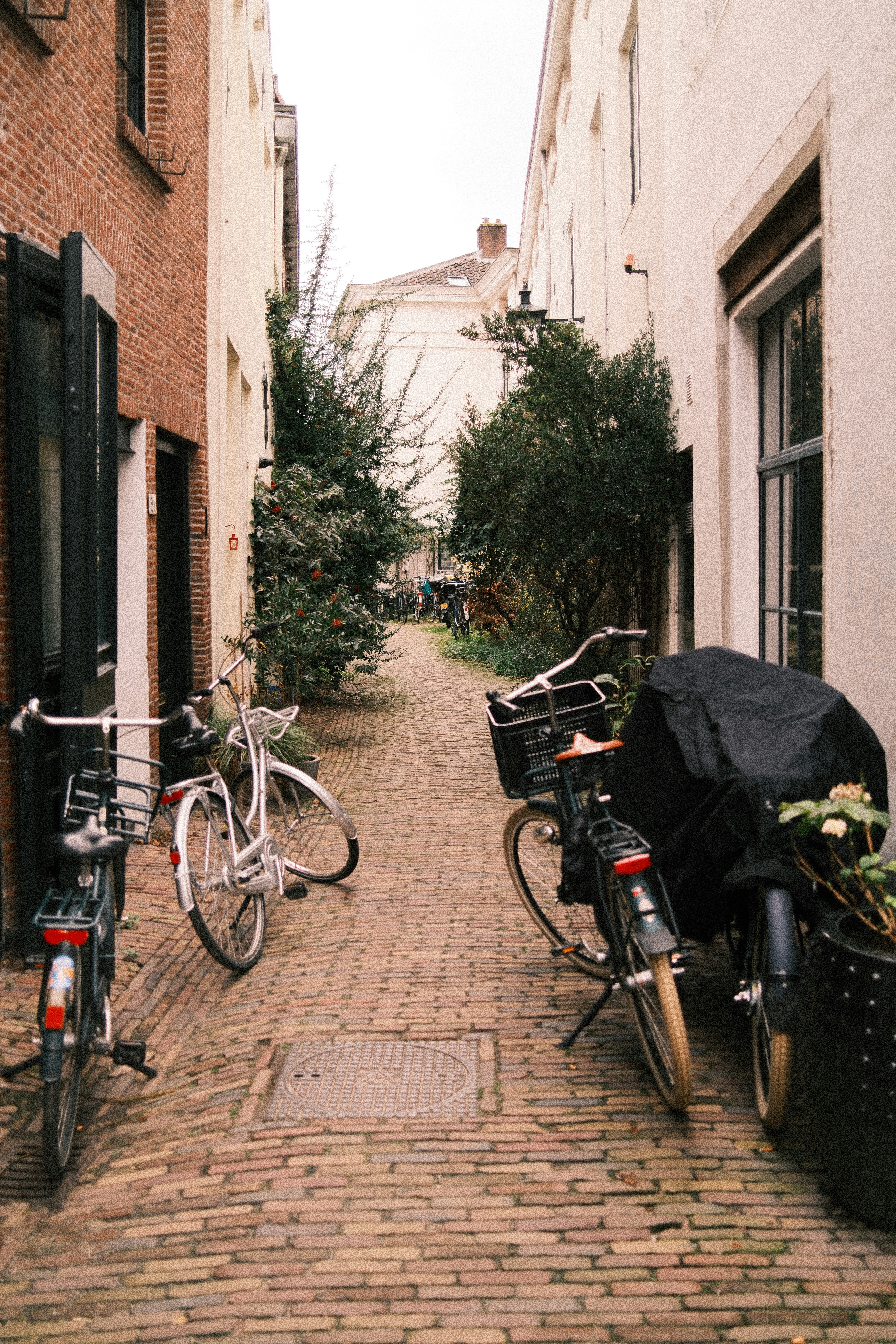 Photo by ayotundeikuesan