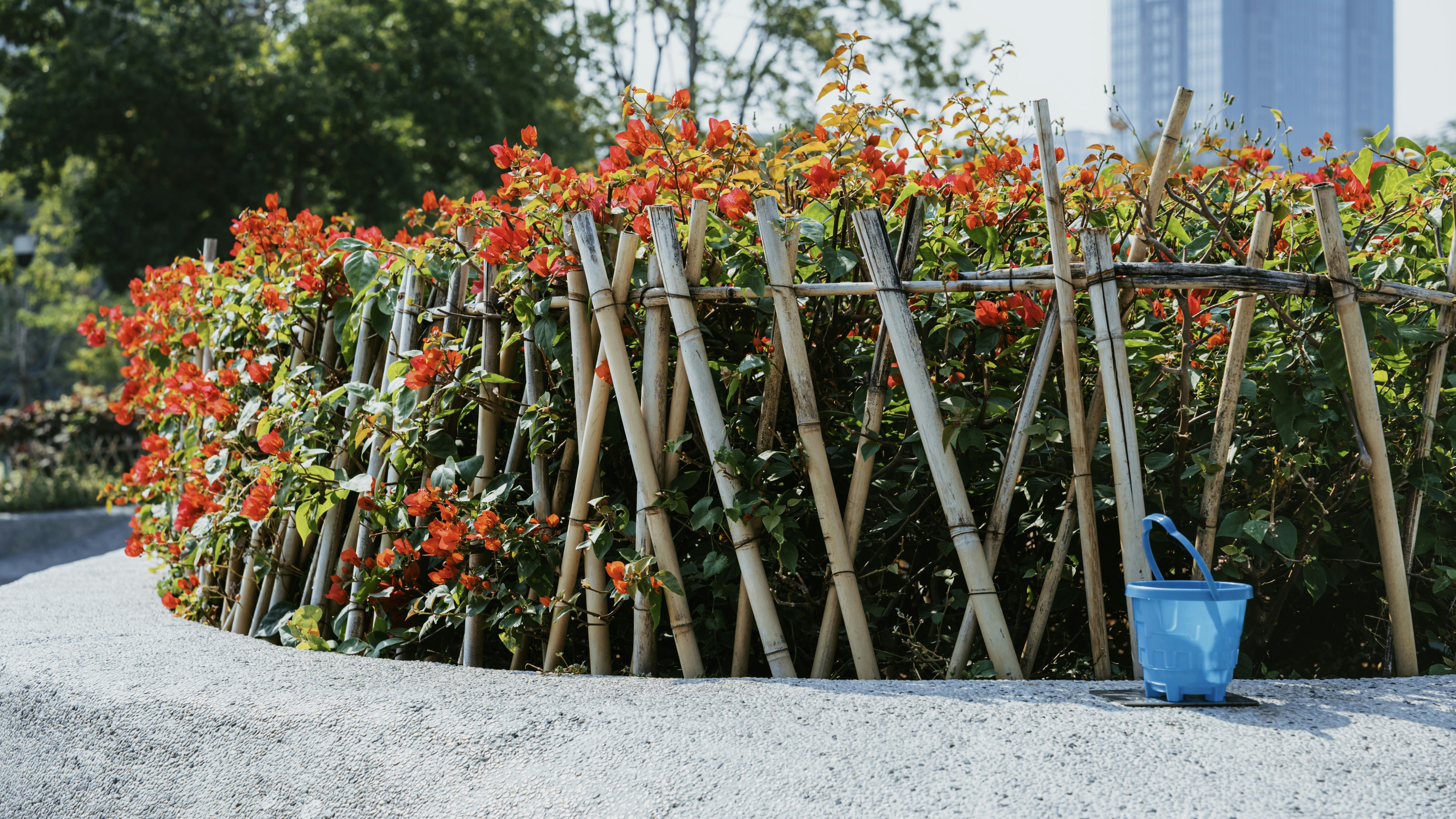 Photo by wangbinghua