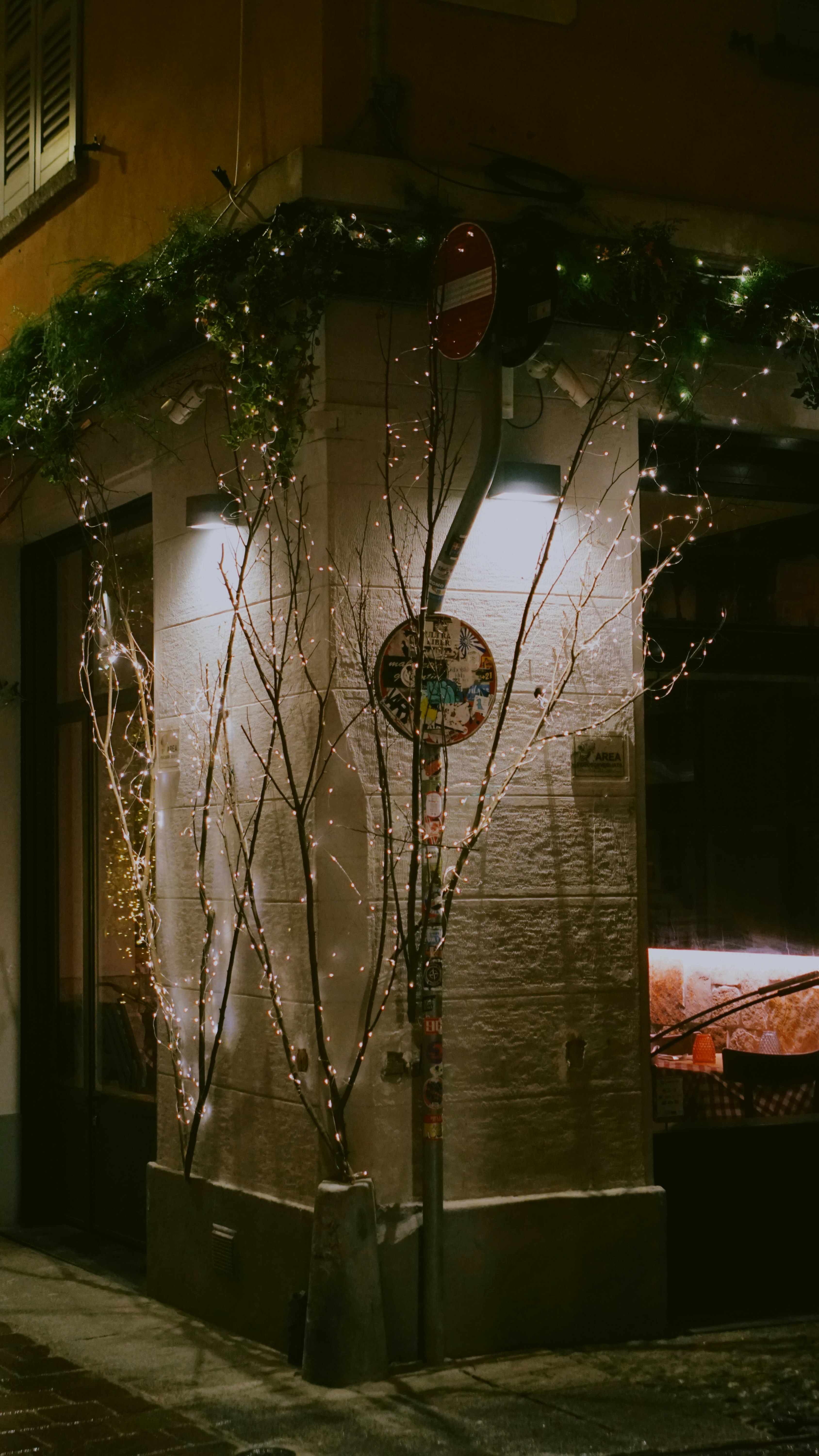 Bare branches with fairy lights on building corner at night
