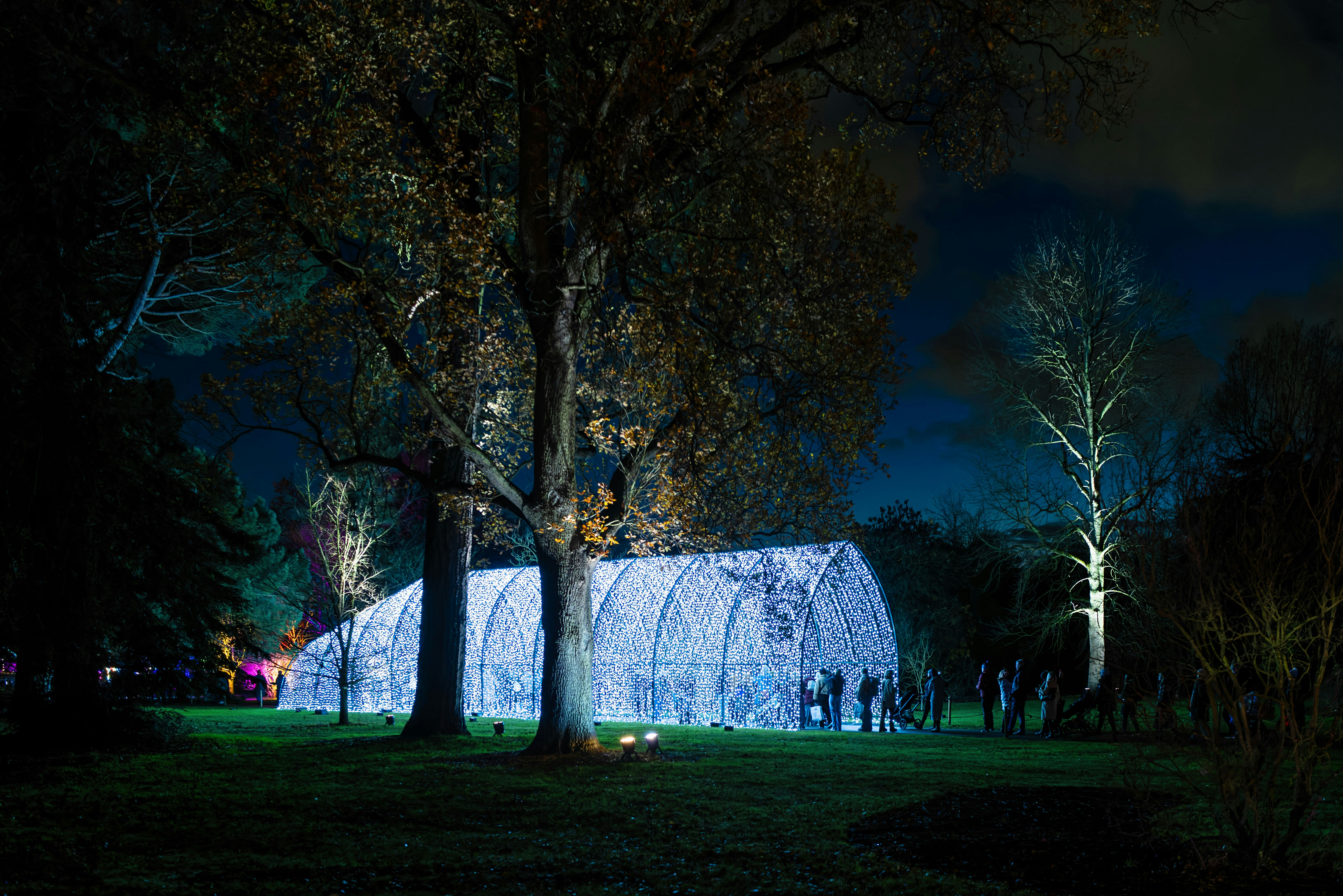 Illuminated tunnel structure in a park at night