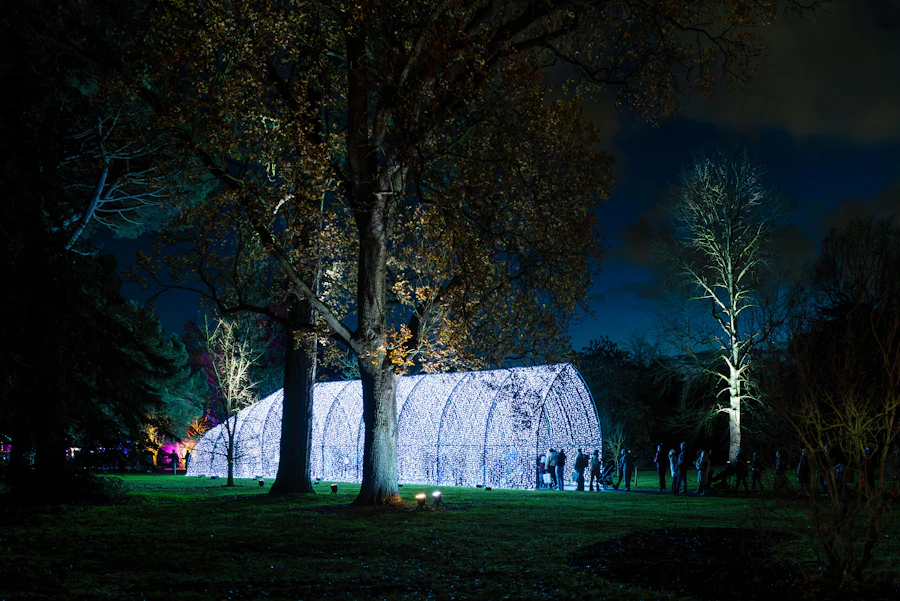 Blau beleuchteter Lichtertunnel in Kew Gardens bei Nacht