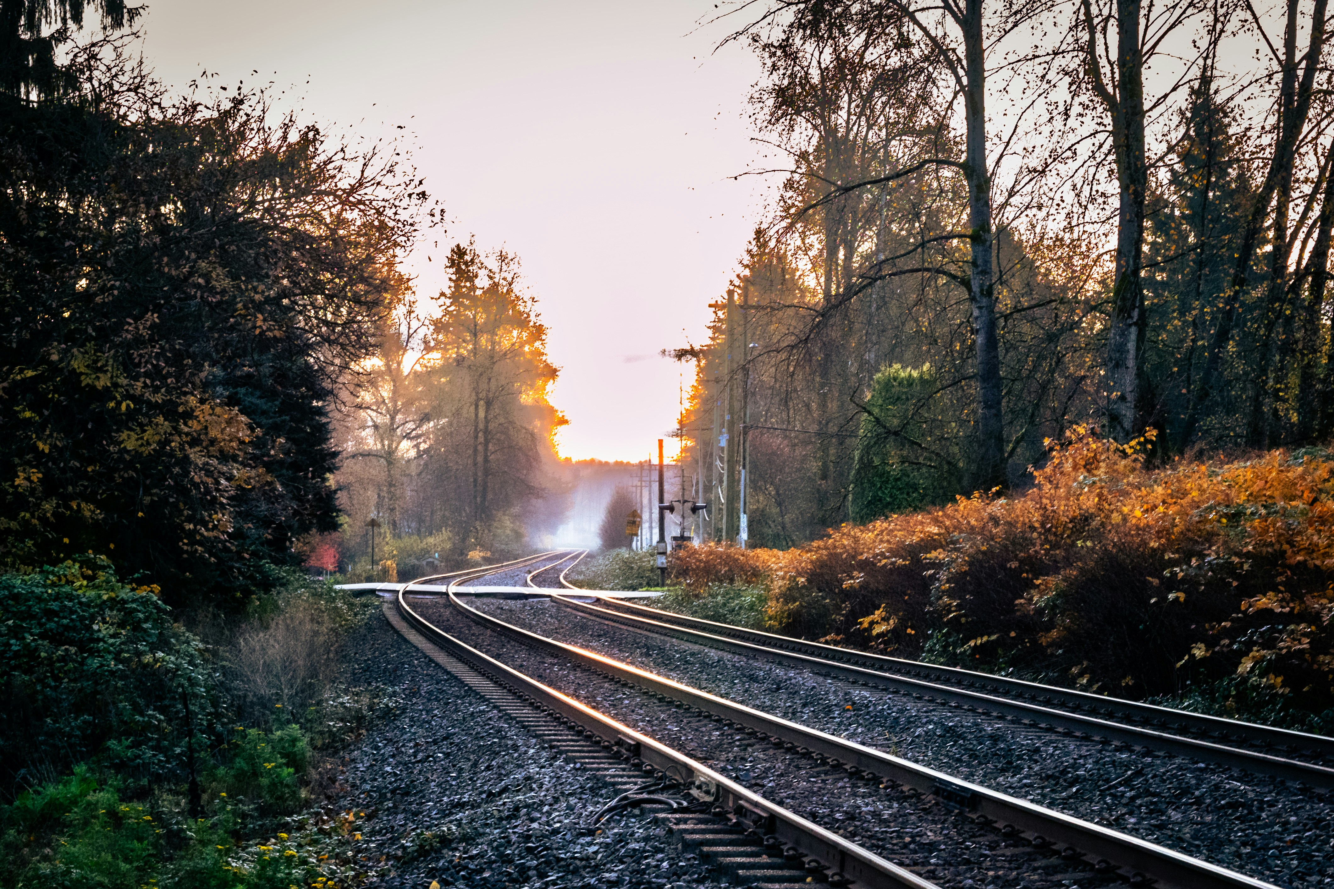 Photo by vanishing_point_images