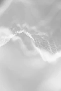 Abstract white wavy lines on a soft background