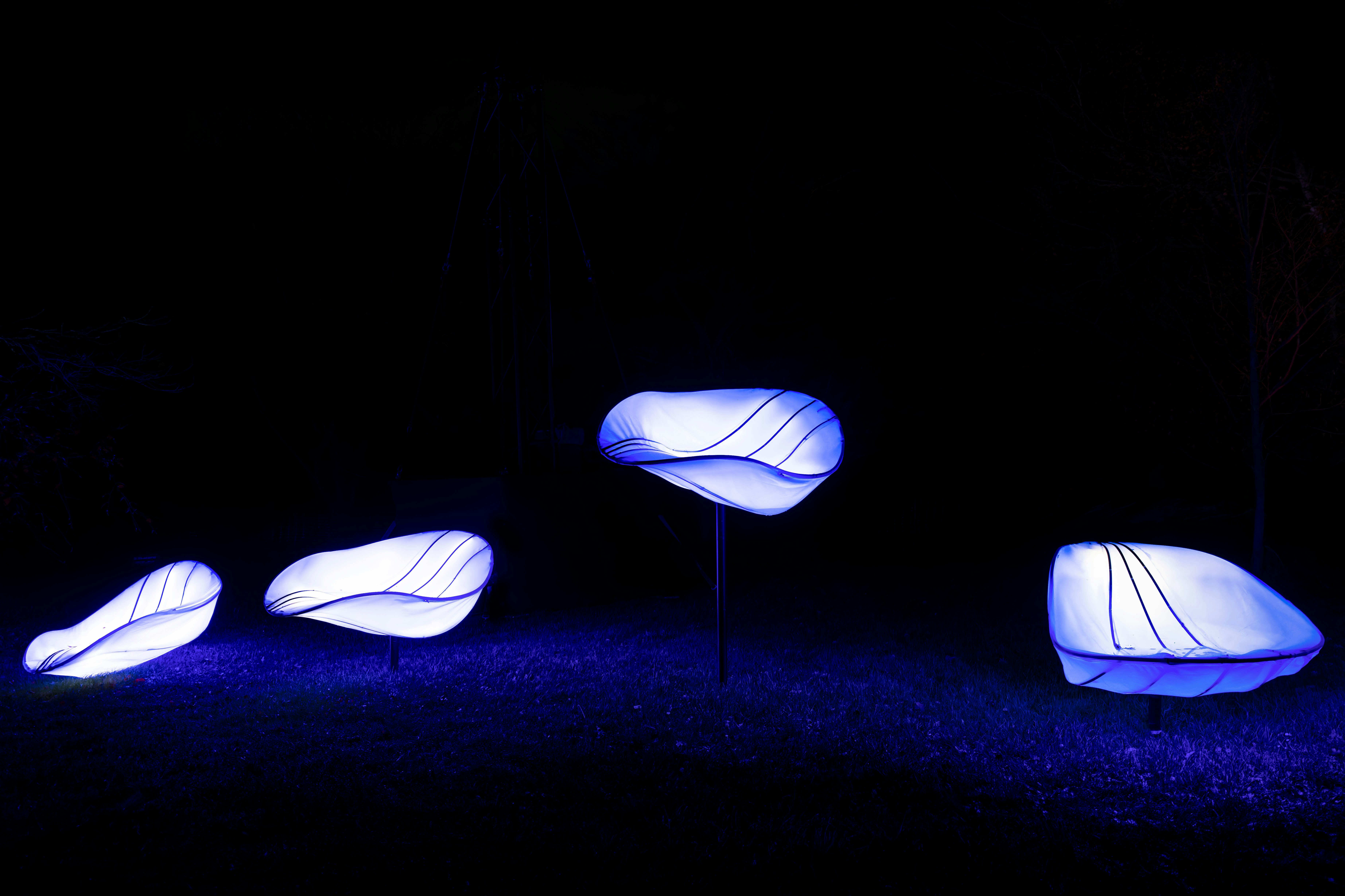 Glowing blue sculptures in a dark outdoor setting.