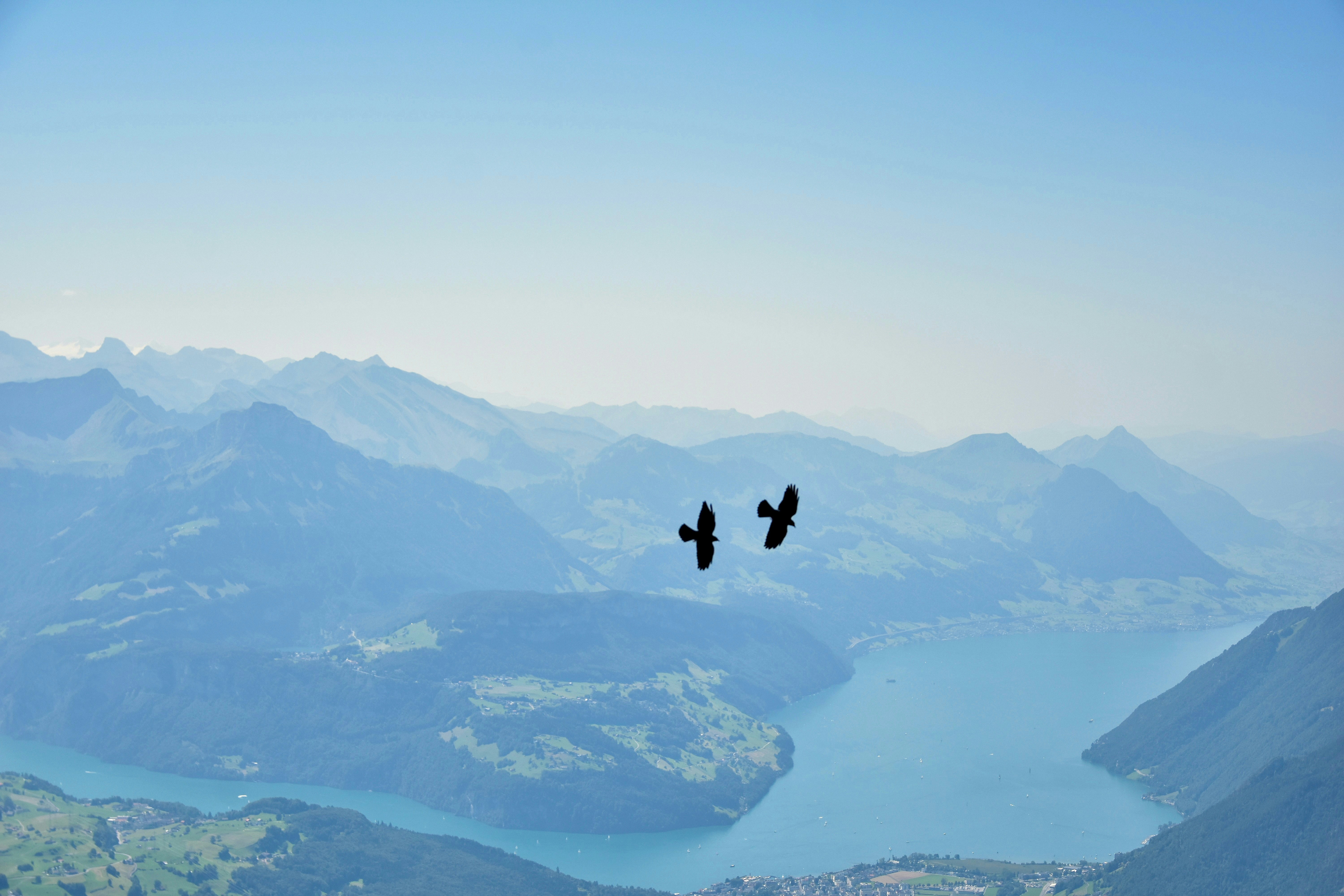 Two birds fly over a lake and mountains.